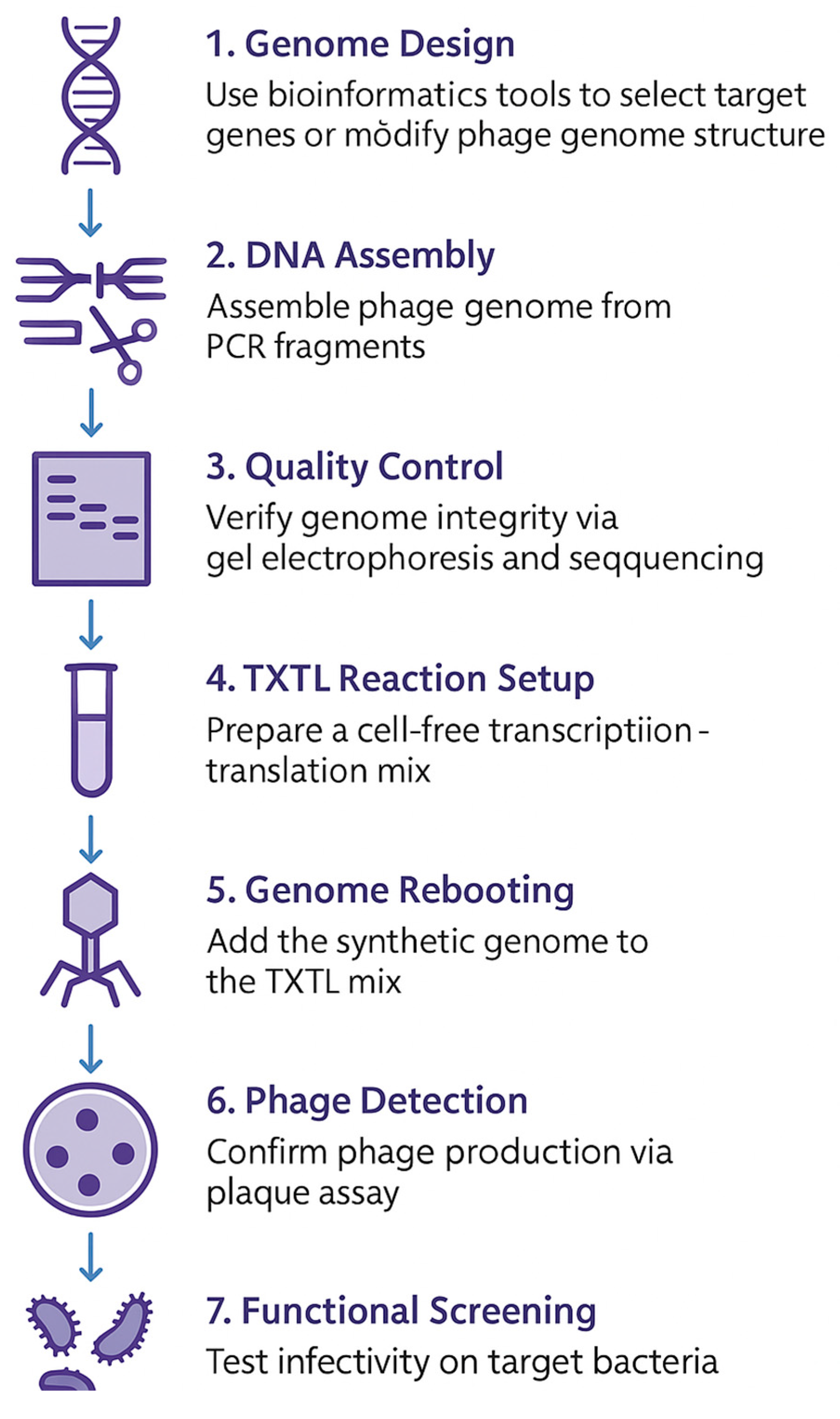 Preprints 165620 g002