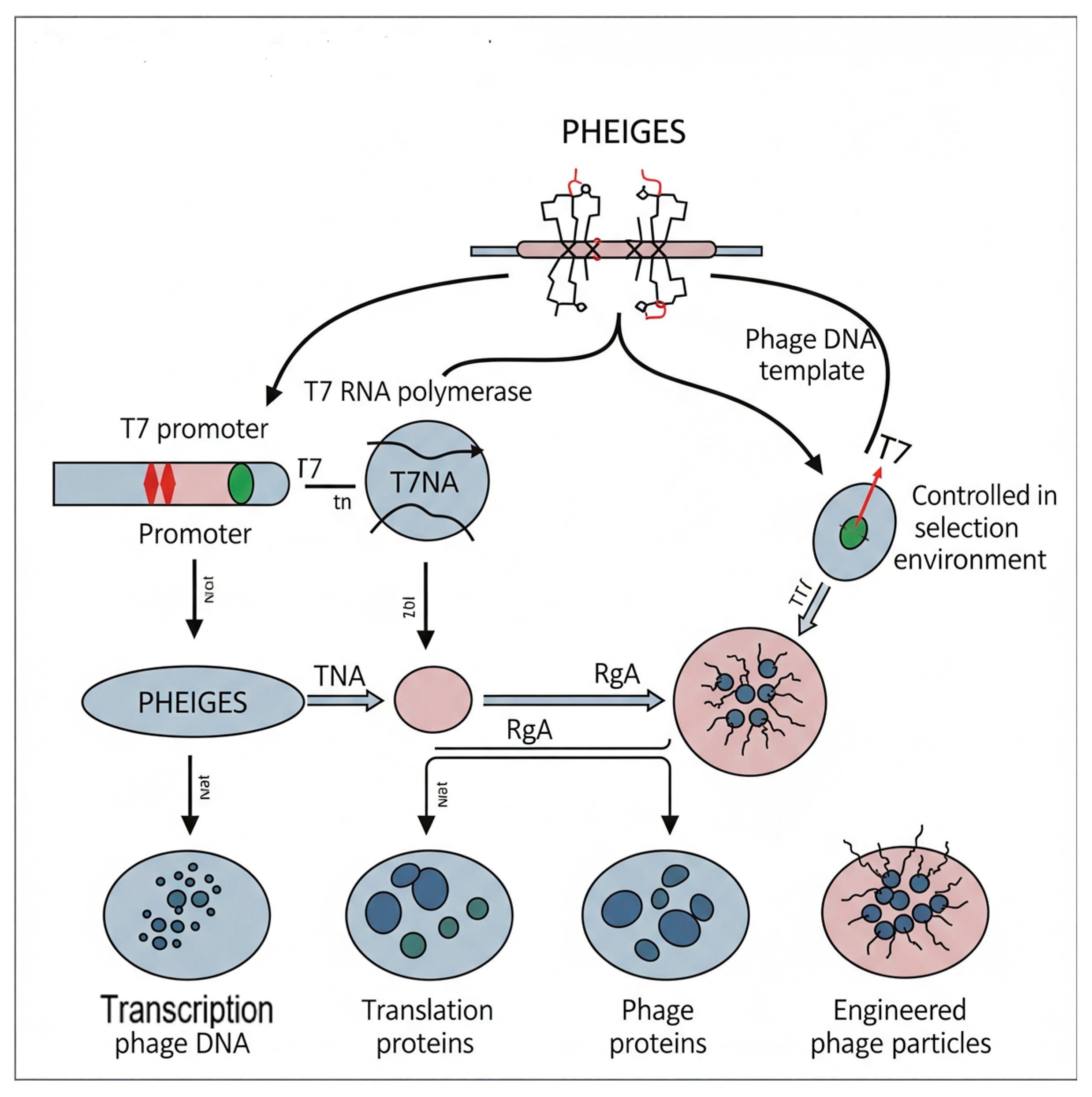 Preprints 165620 g003