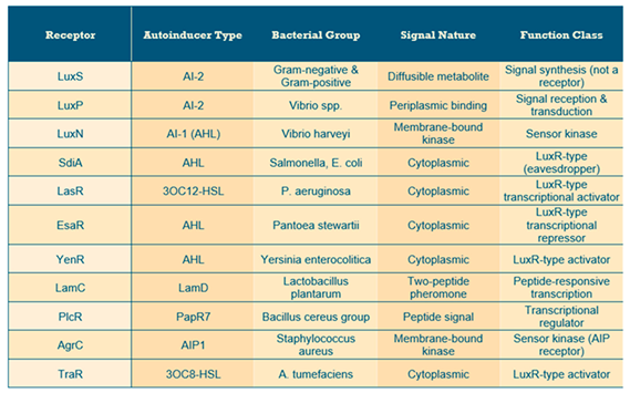 Preprints 165620 i001