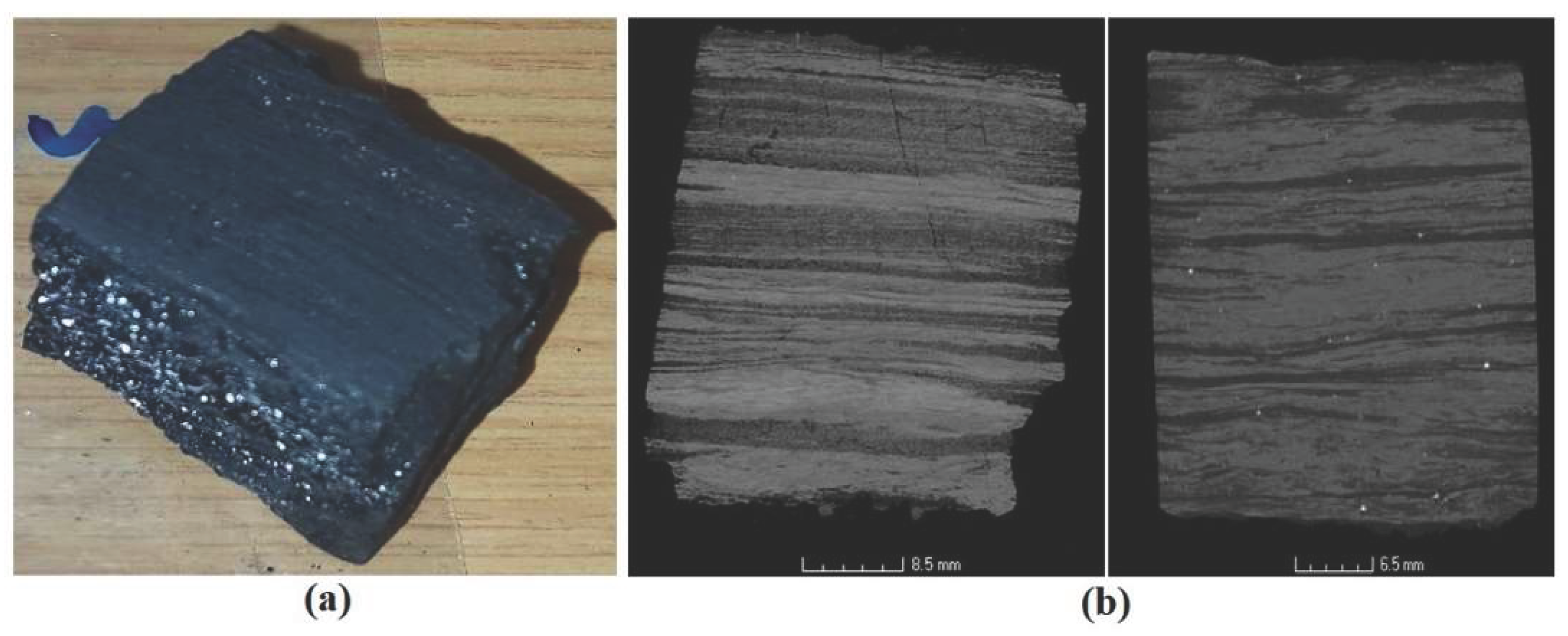 Preprints 159317 g001