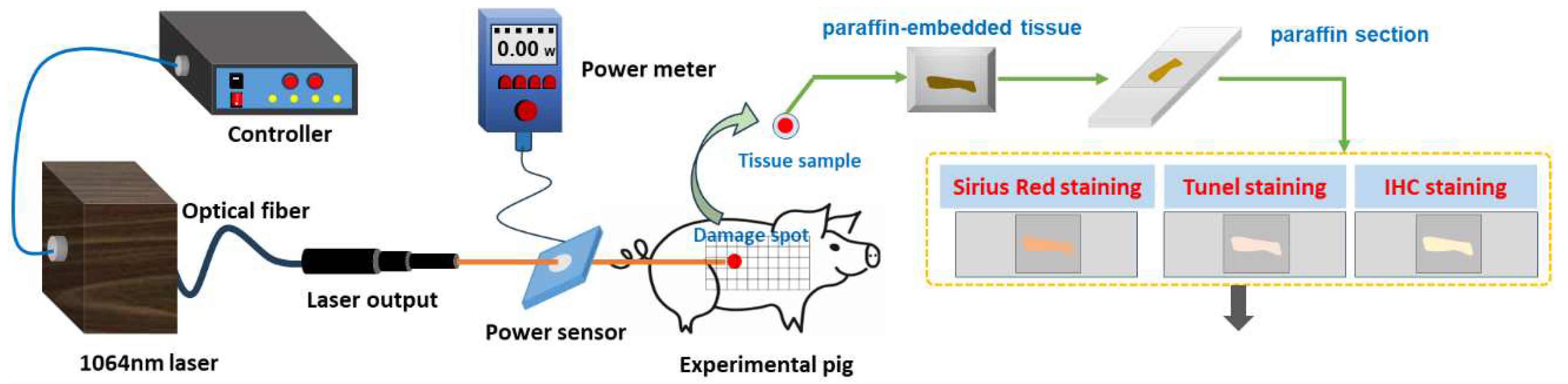 Preprints 97526 g001
