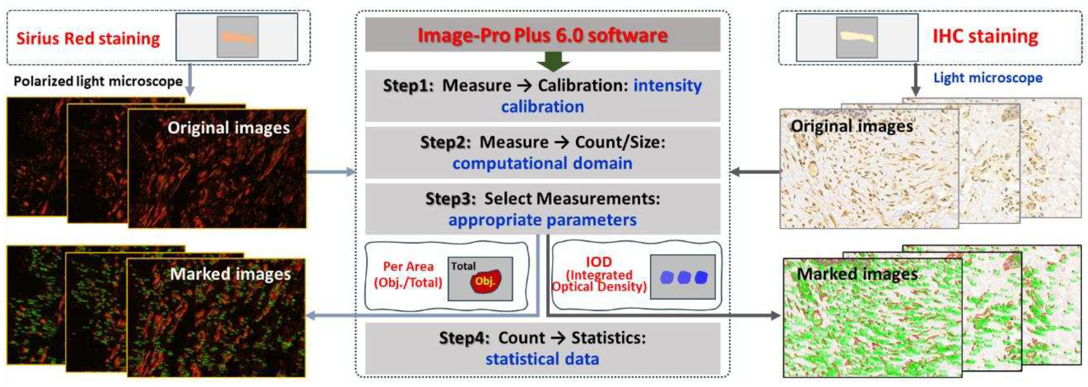 Preprints 97526 g002