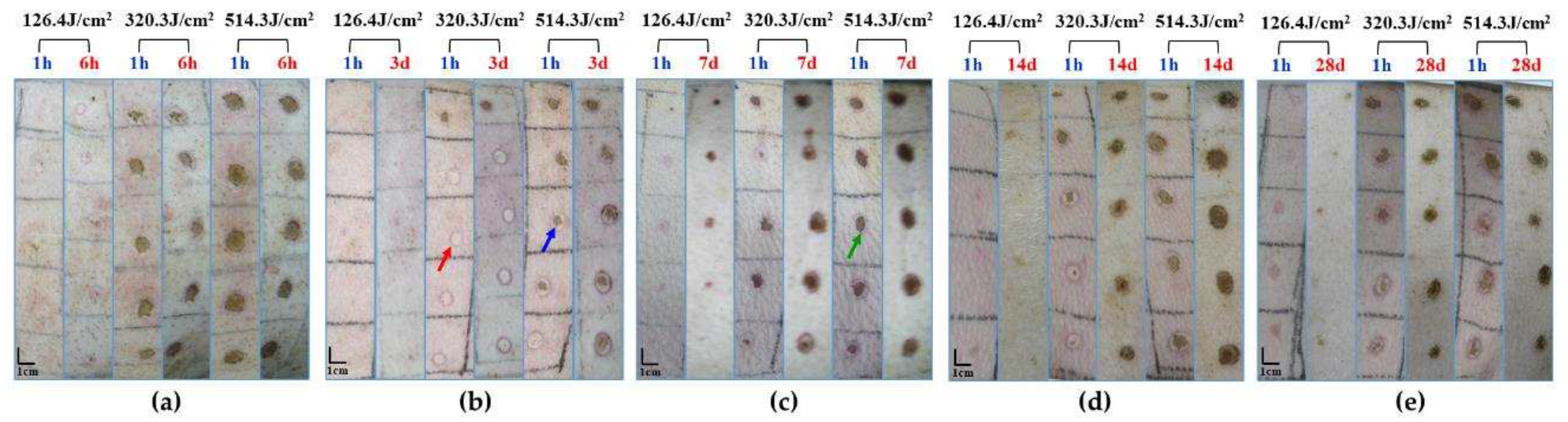 Preprints 97526 g003