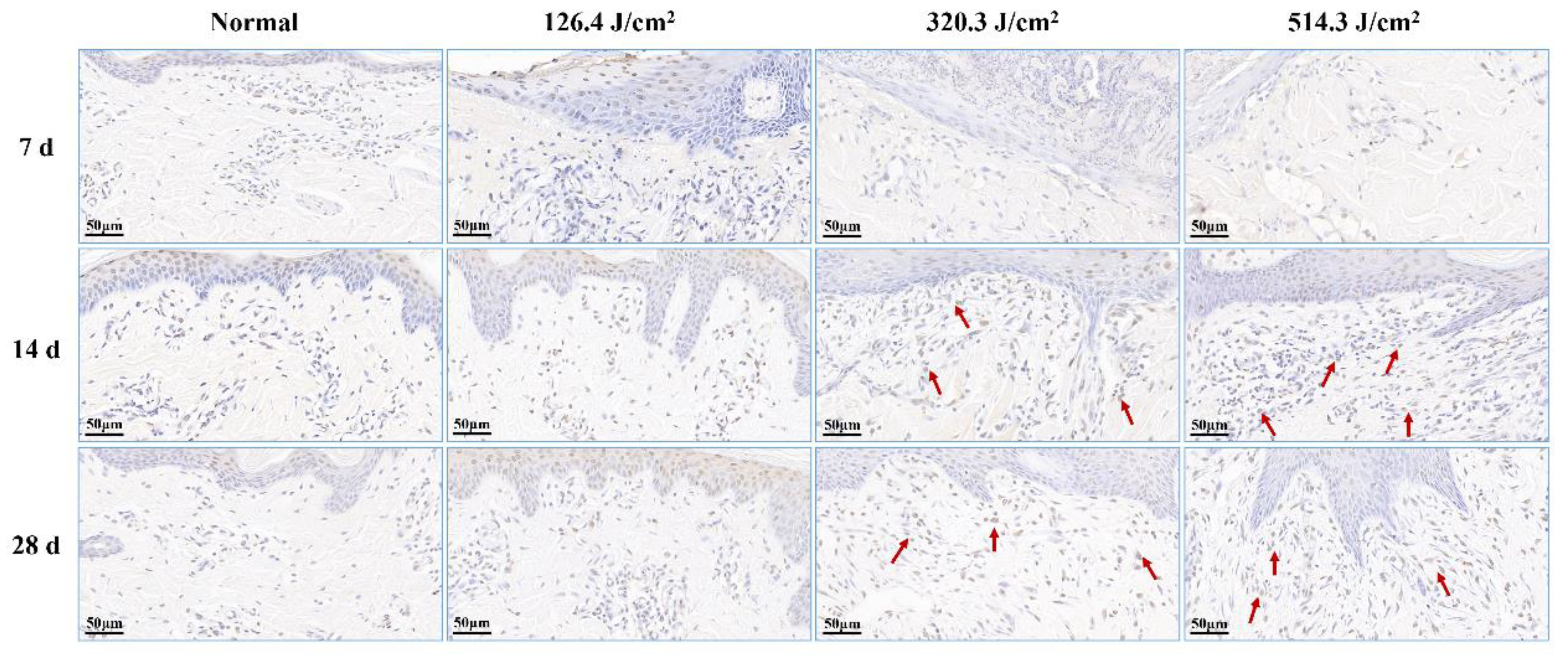 Preprints 97526 g007
