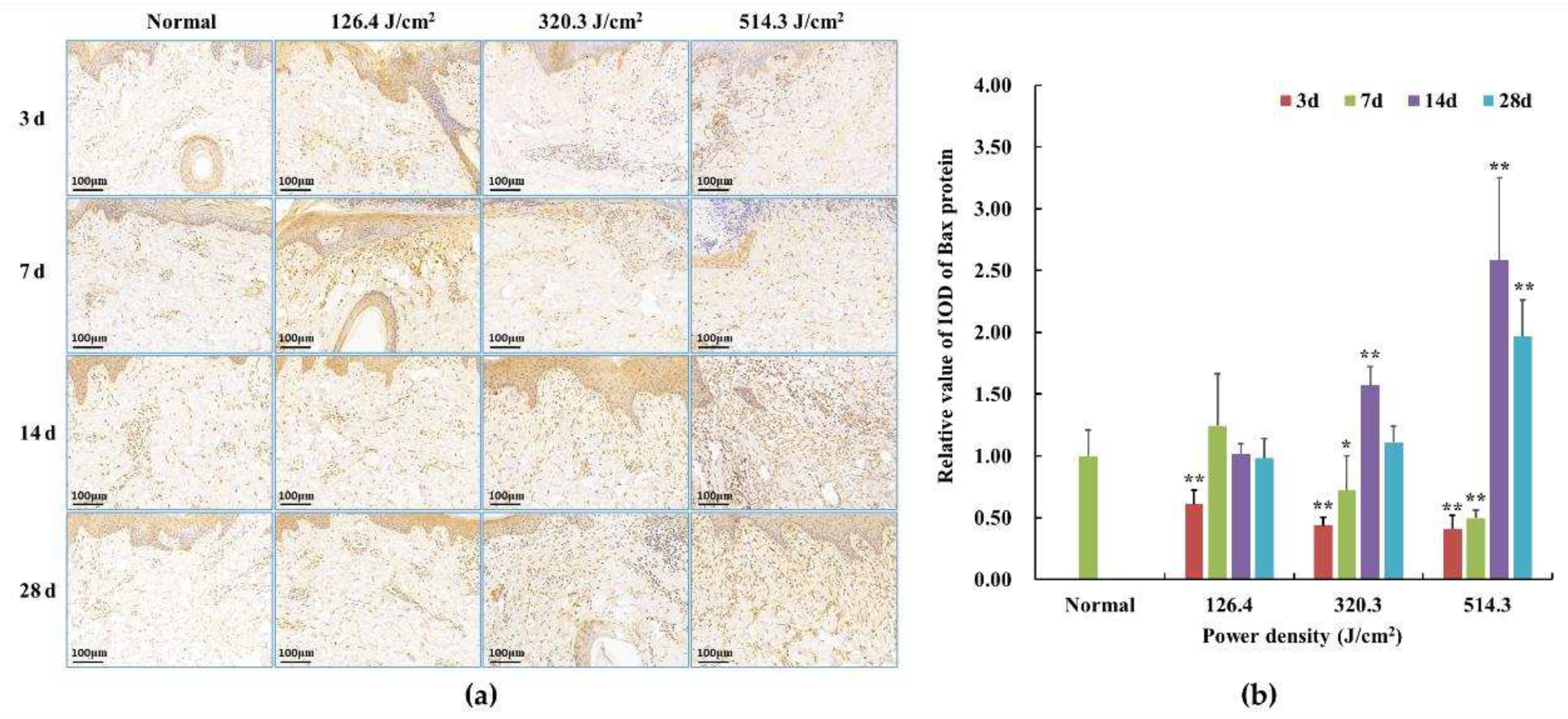 Preprints 97526 g008