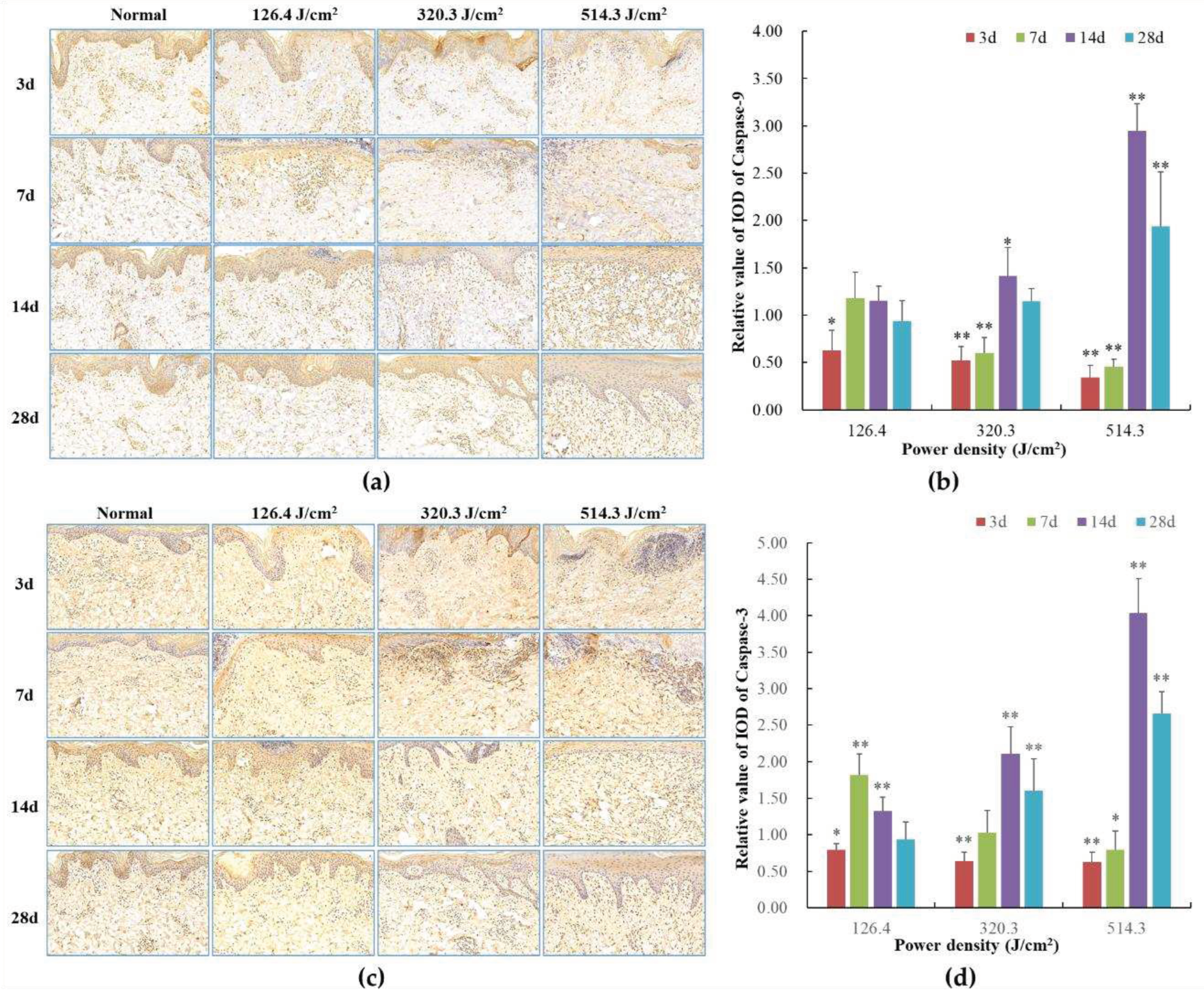 Preprints 97526 g009