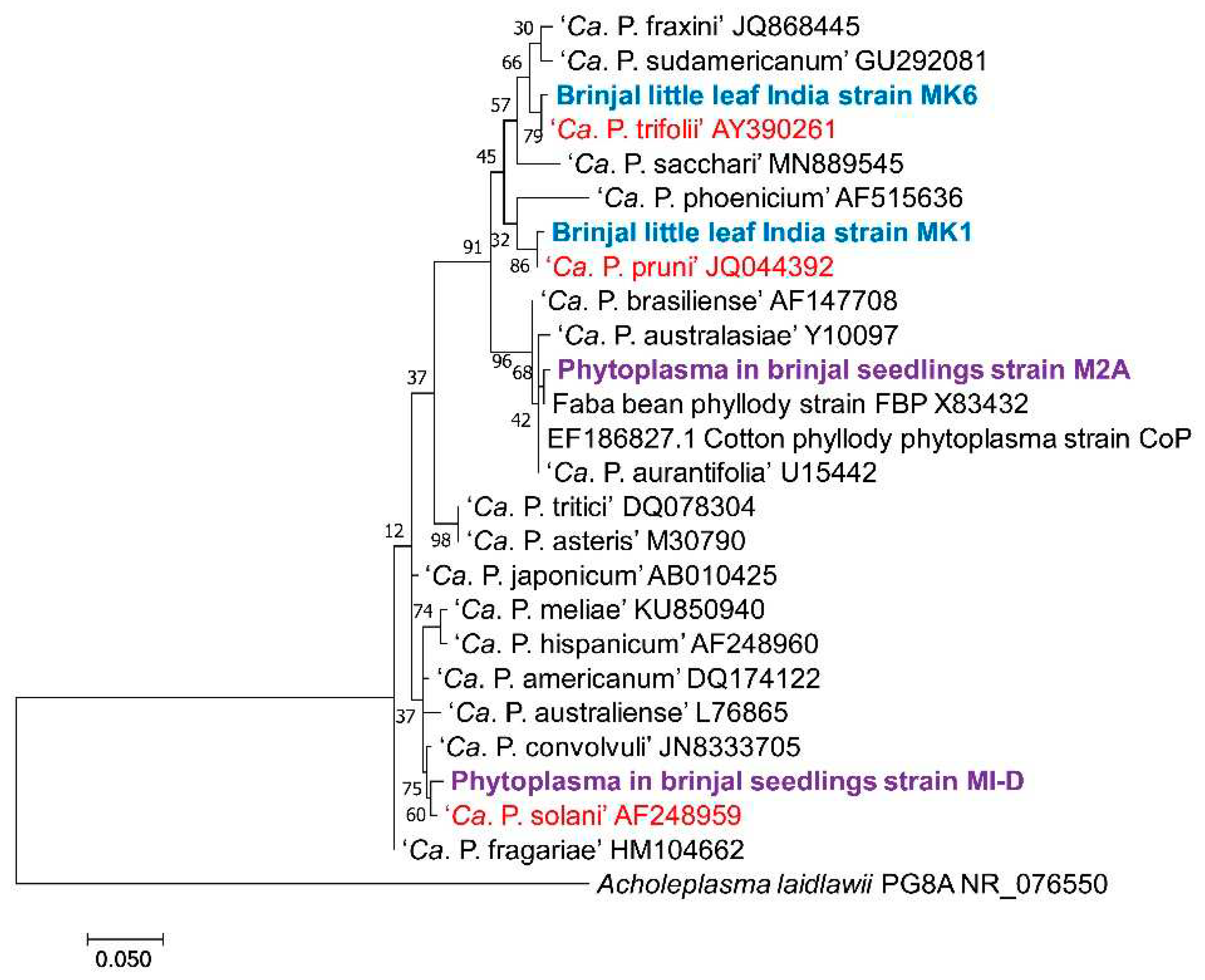 Preprints 96218 g003