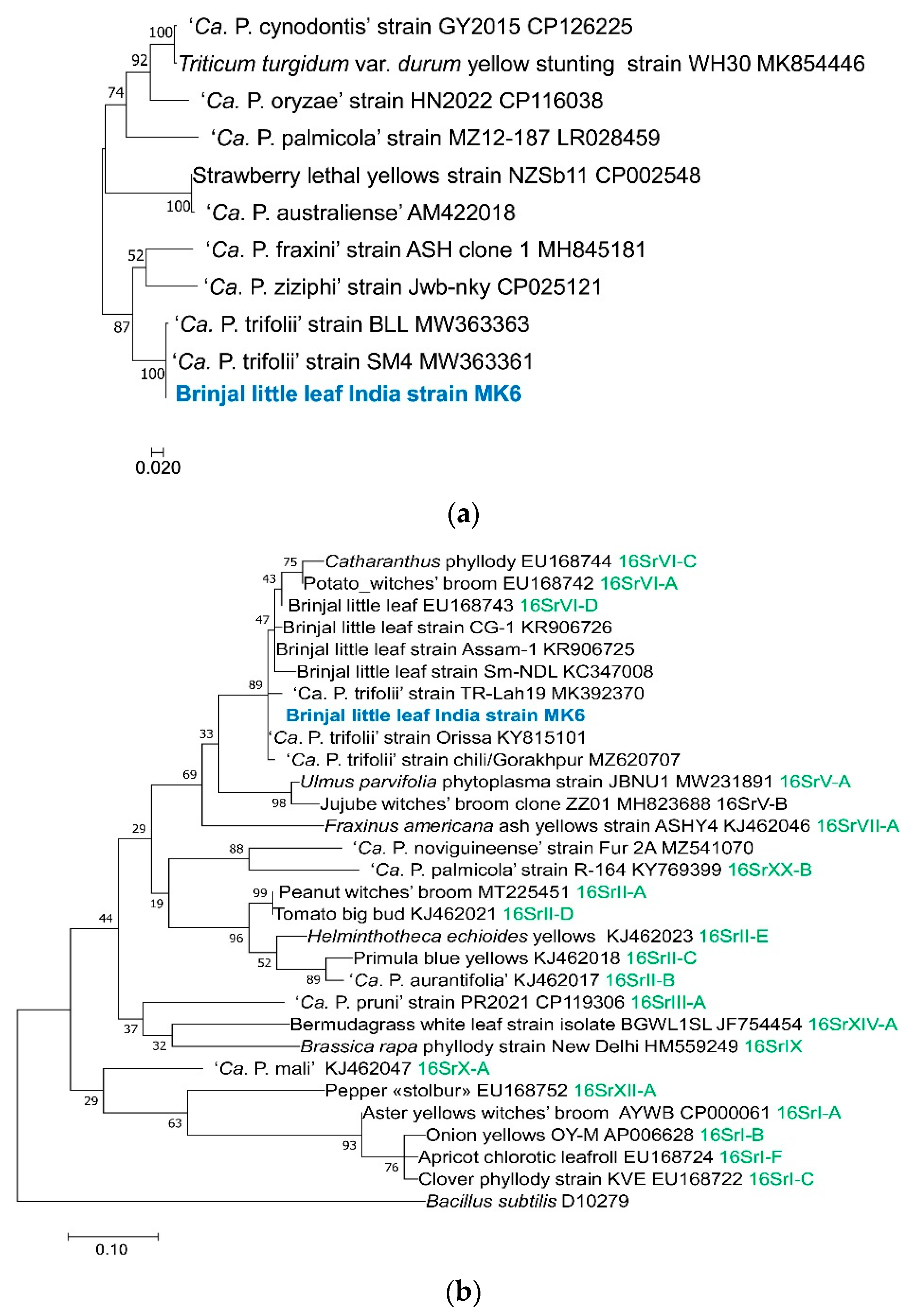 Preprints 96218 g004