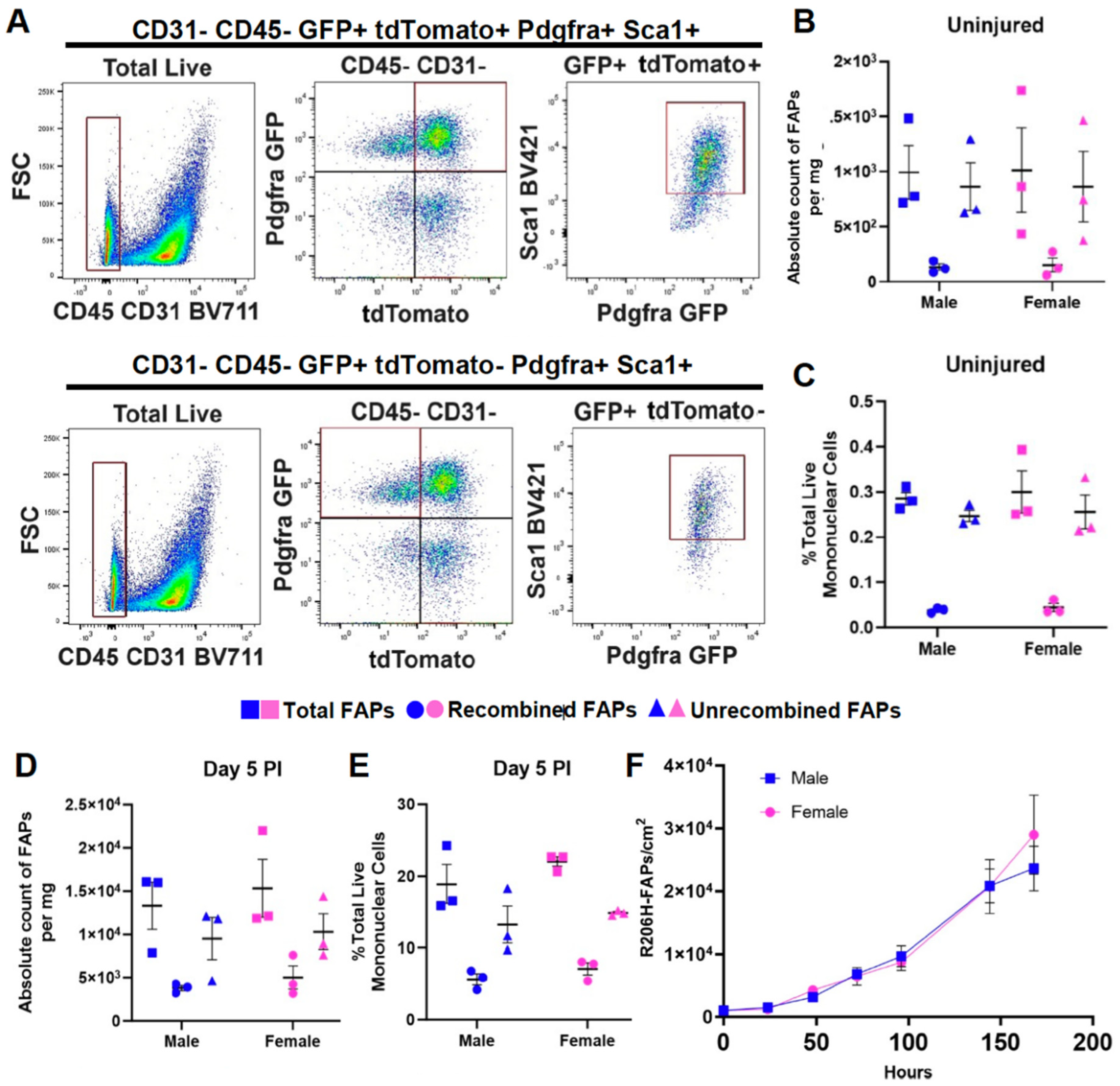 Preprints 94287 g003