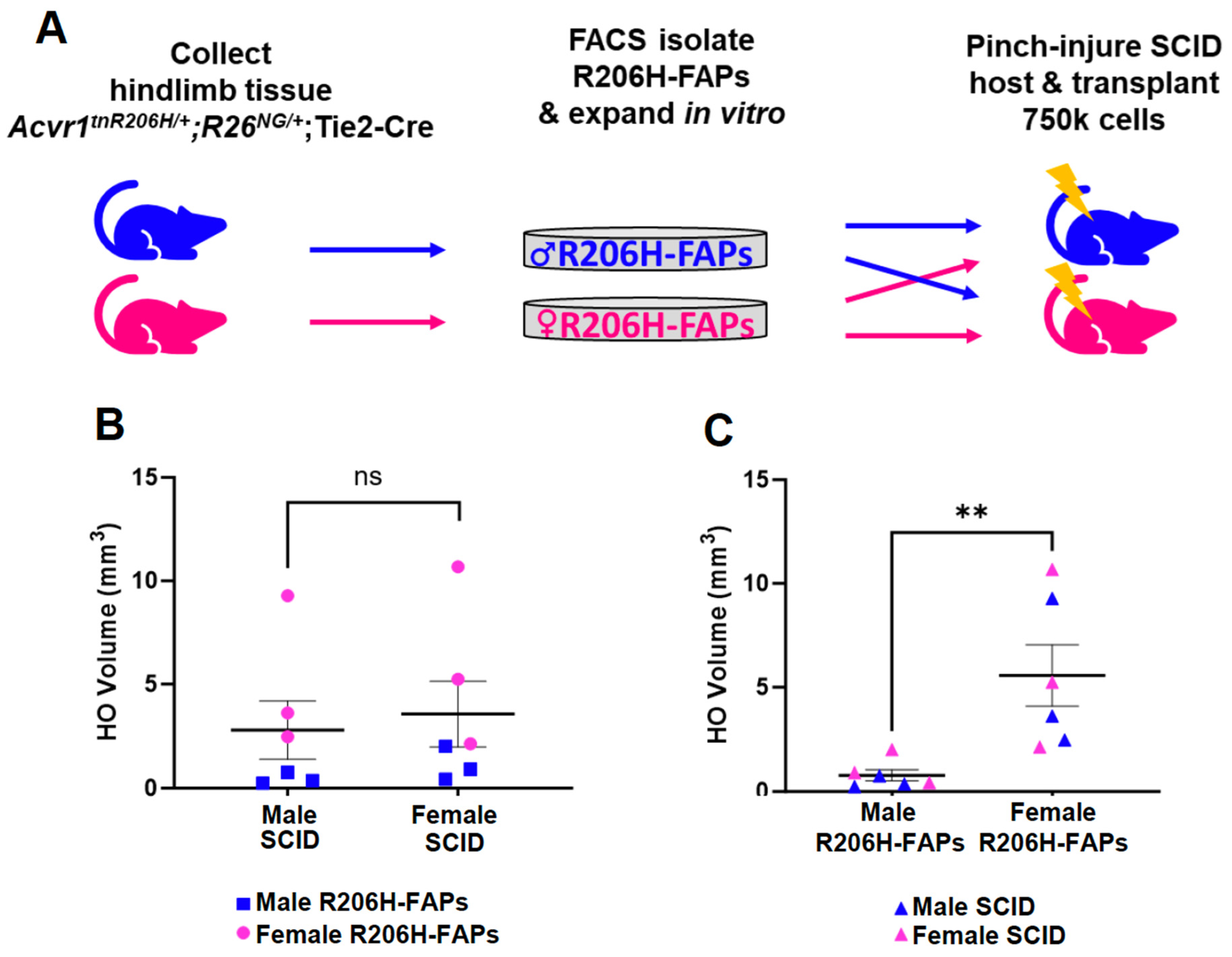 Preprints 94287 g004