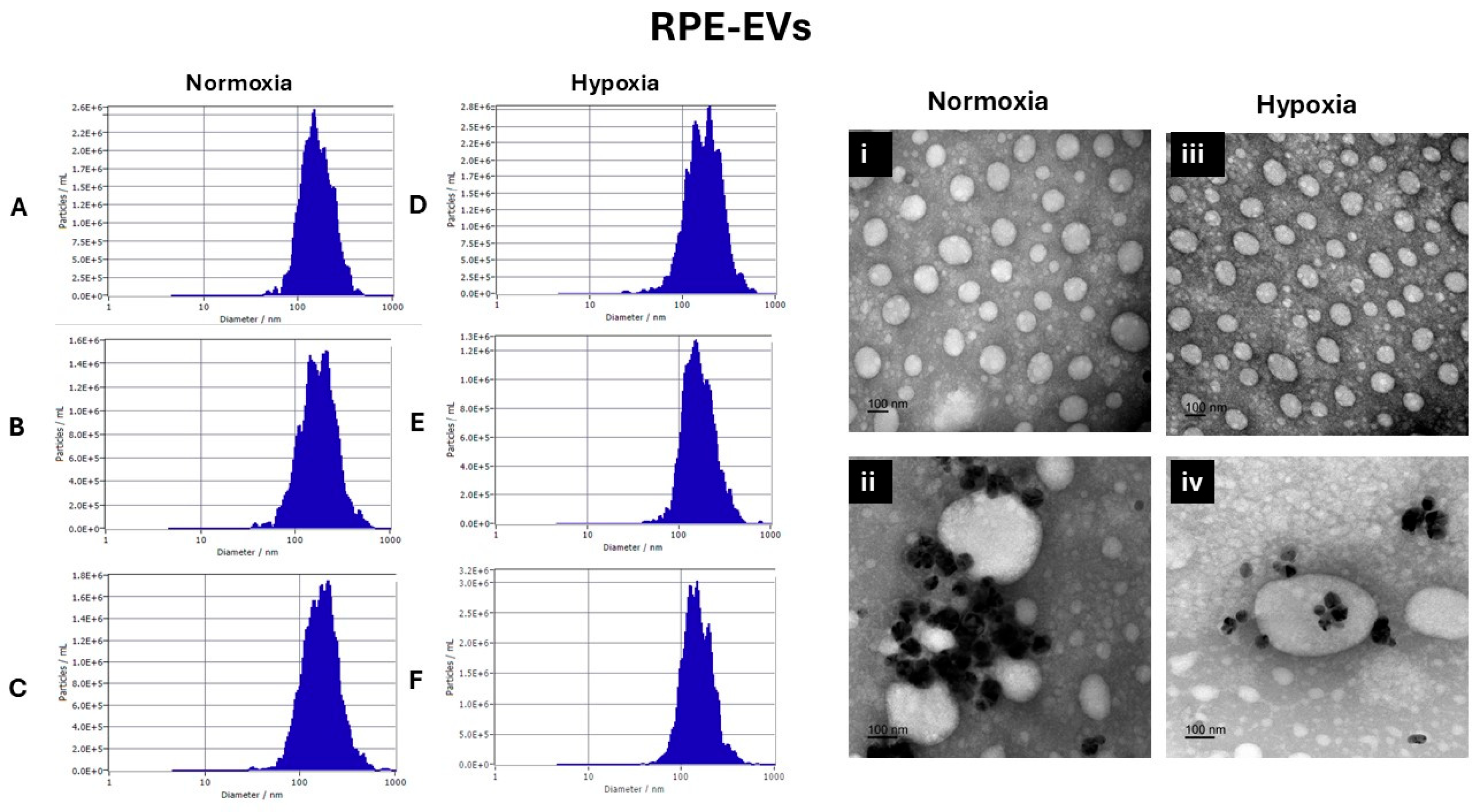 Preprints 163091 g001