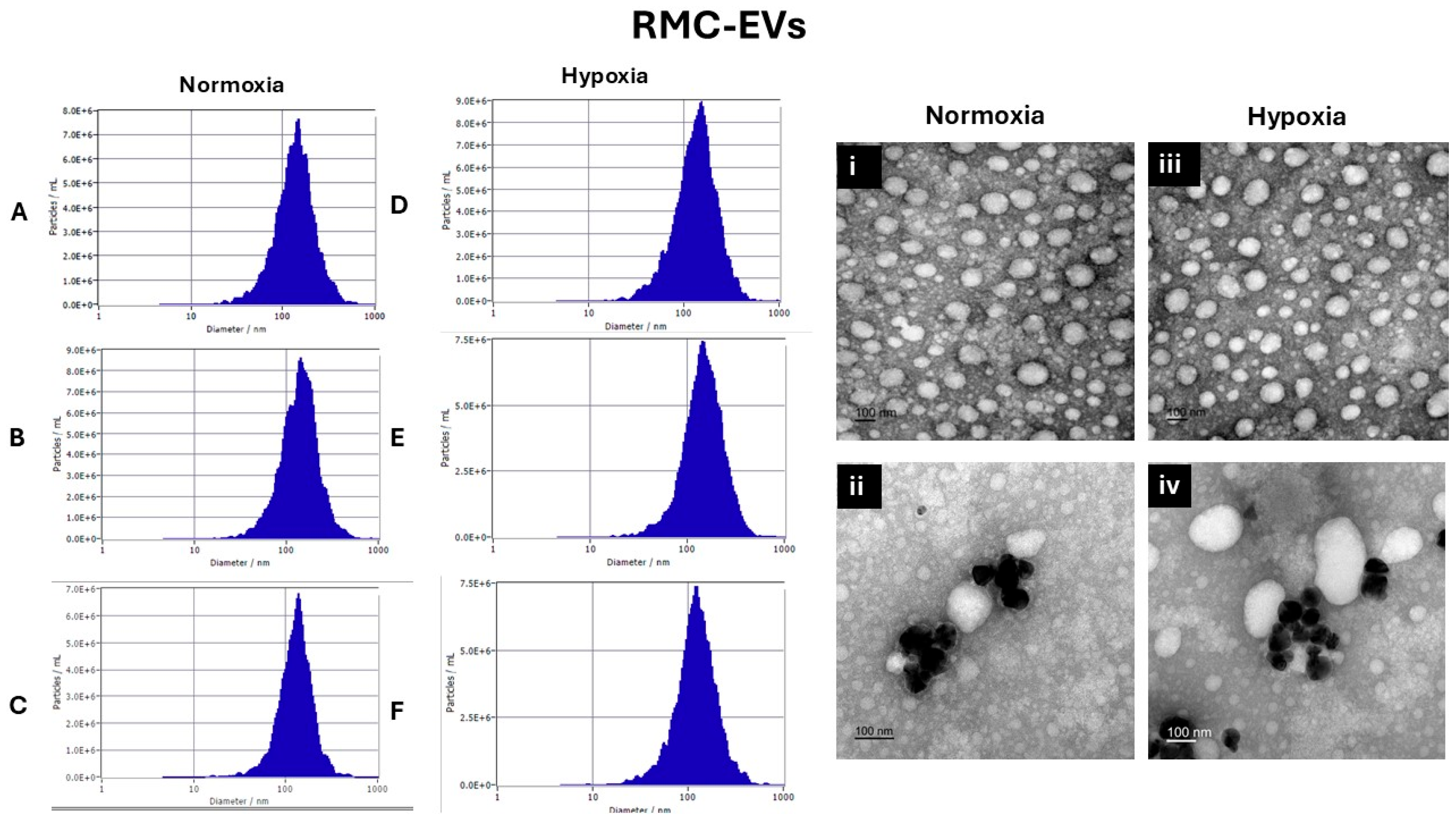 Preprints 163091 g002