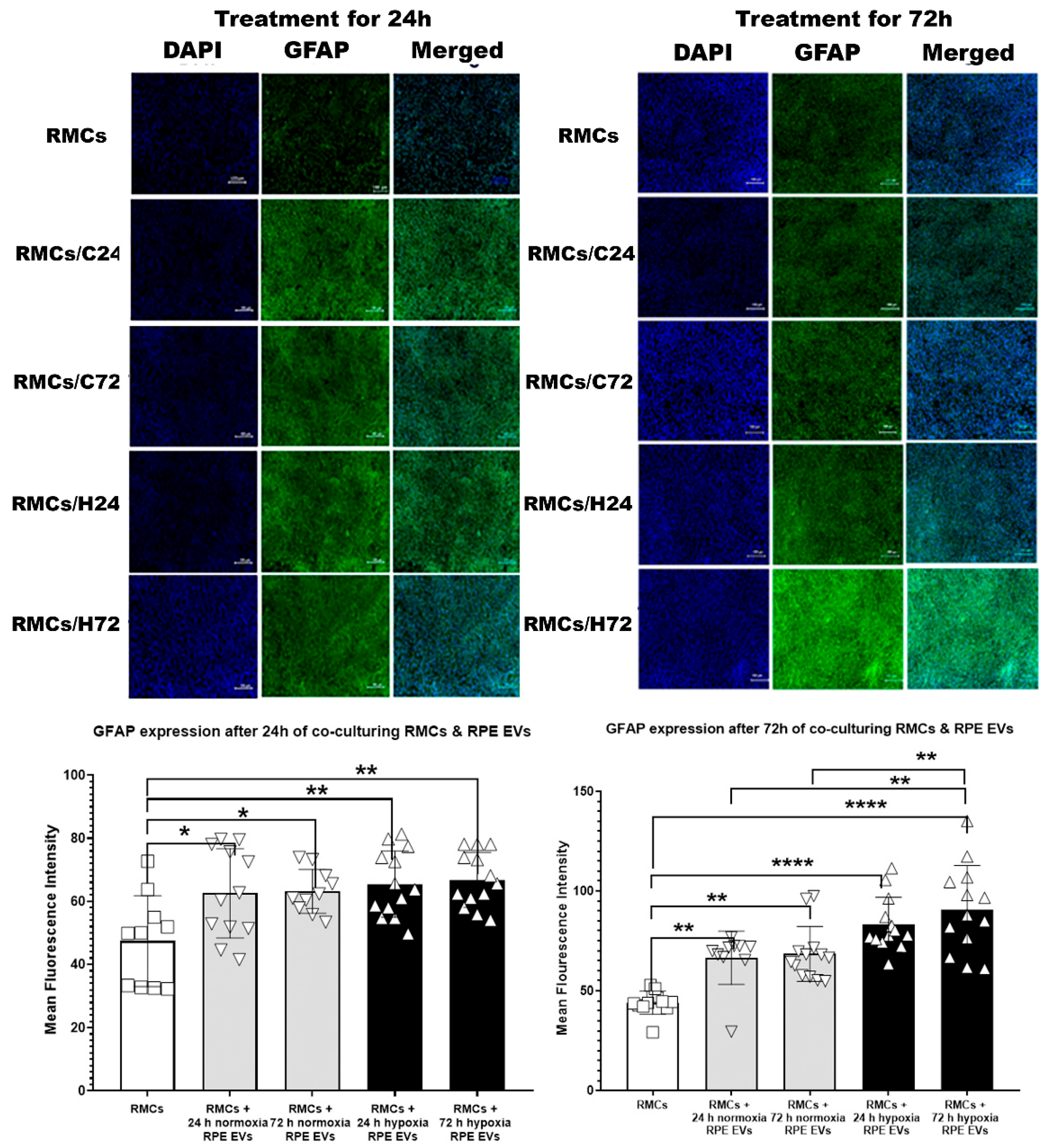 Preprints 163091 g003