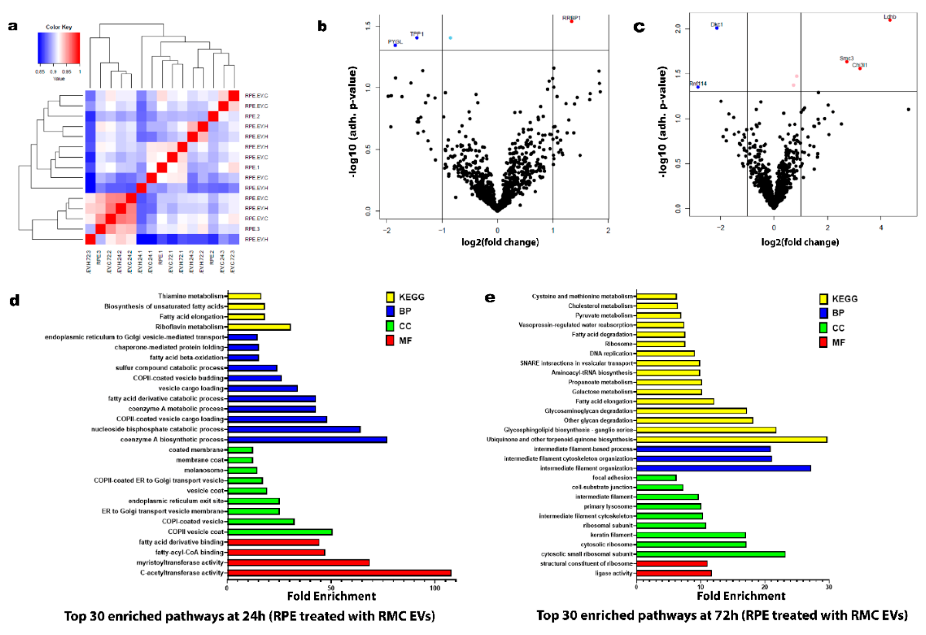 Preprints 163091 g006
