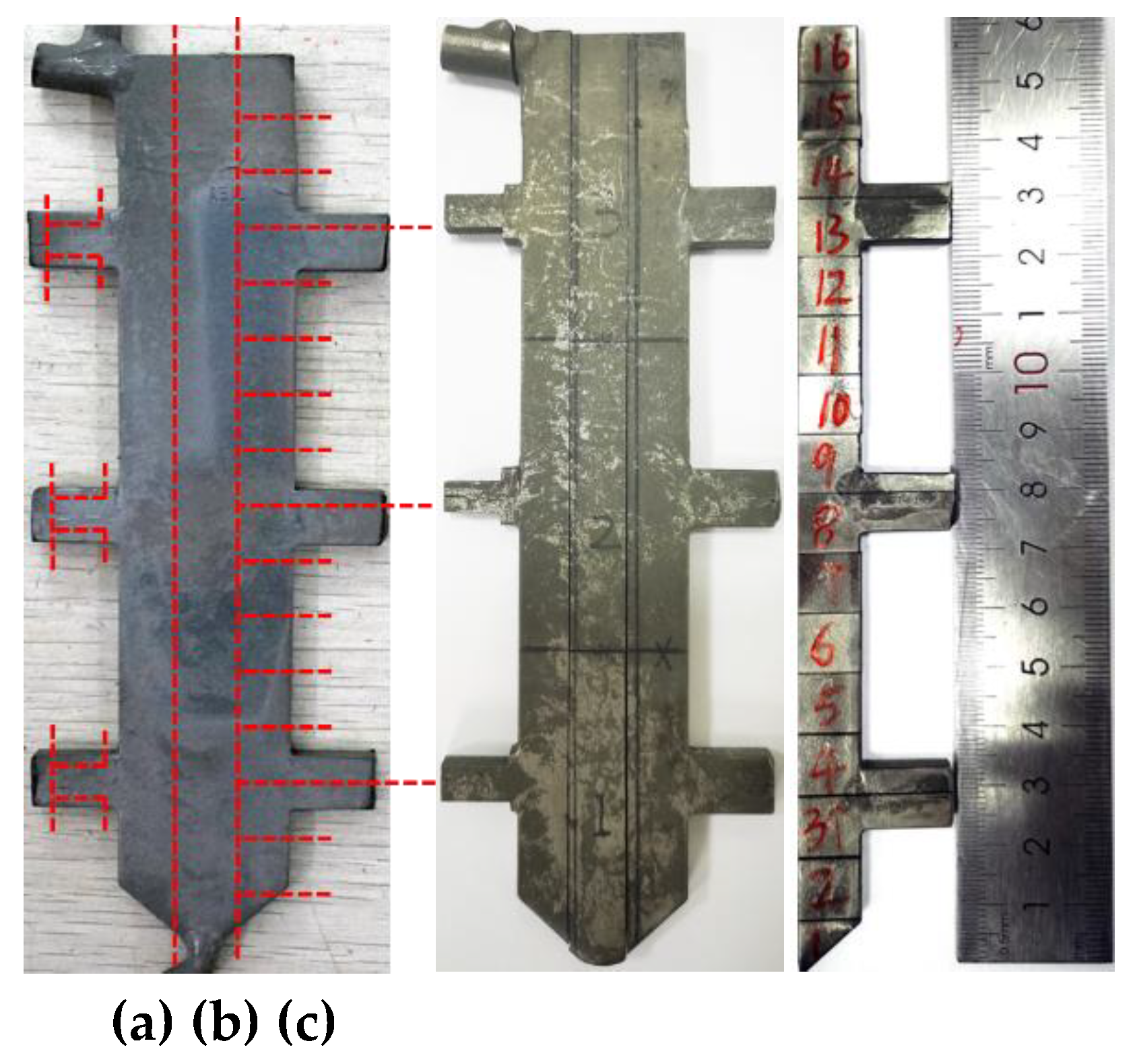 Preprints 168310 g003