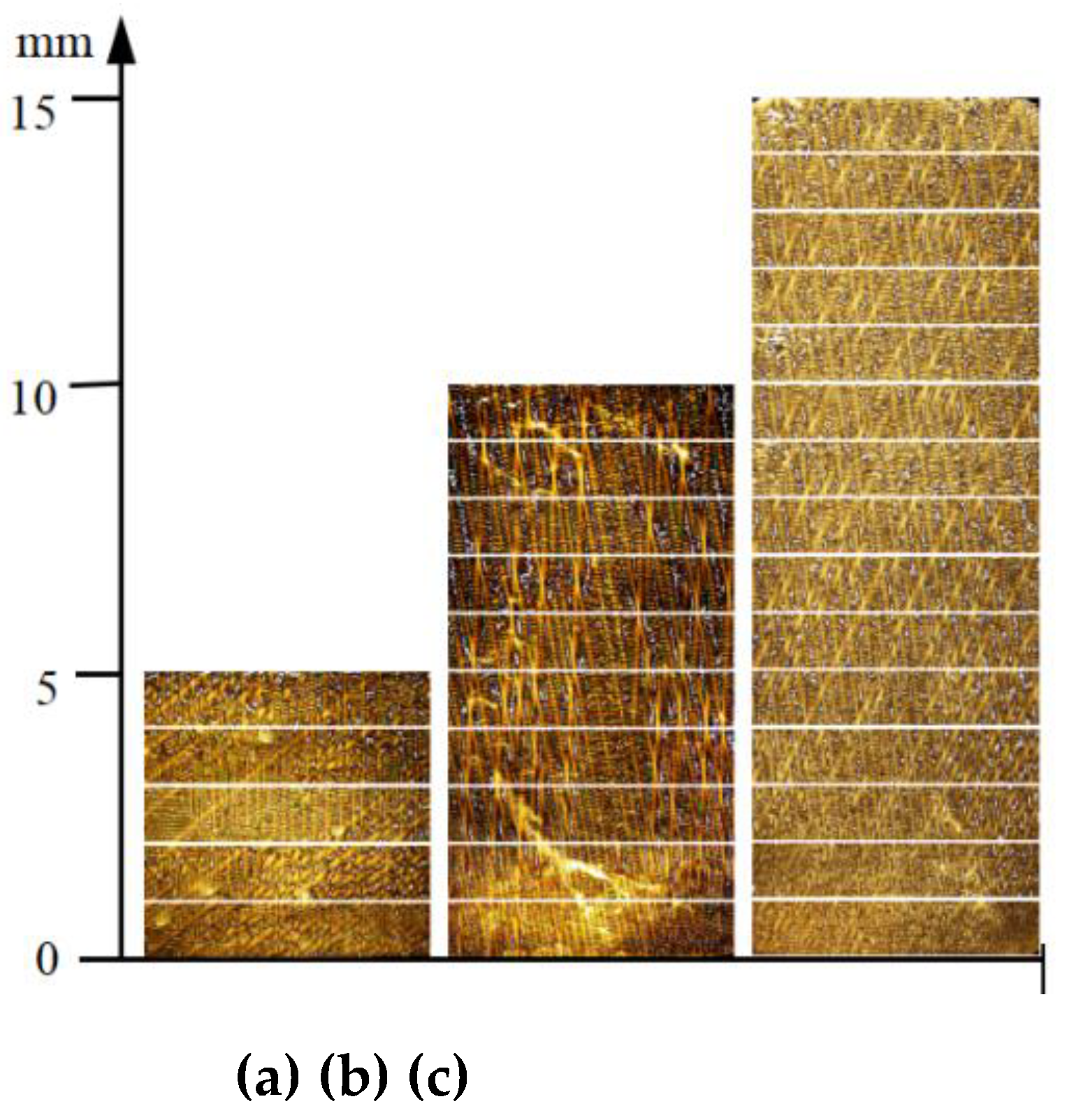 Preprints 168310 g005