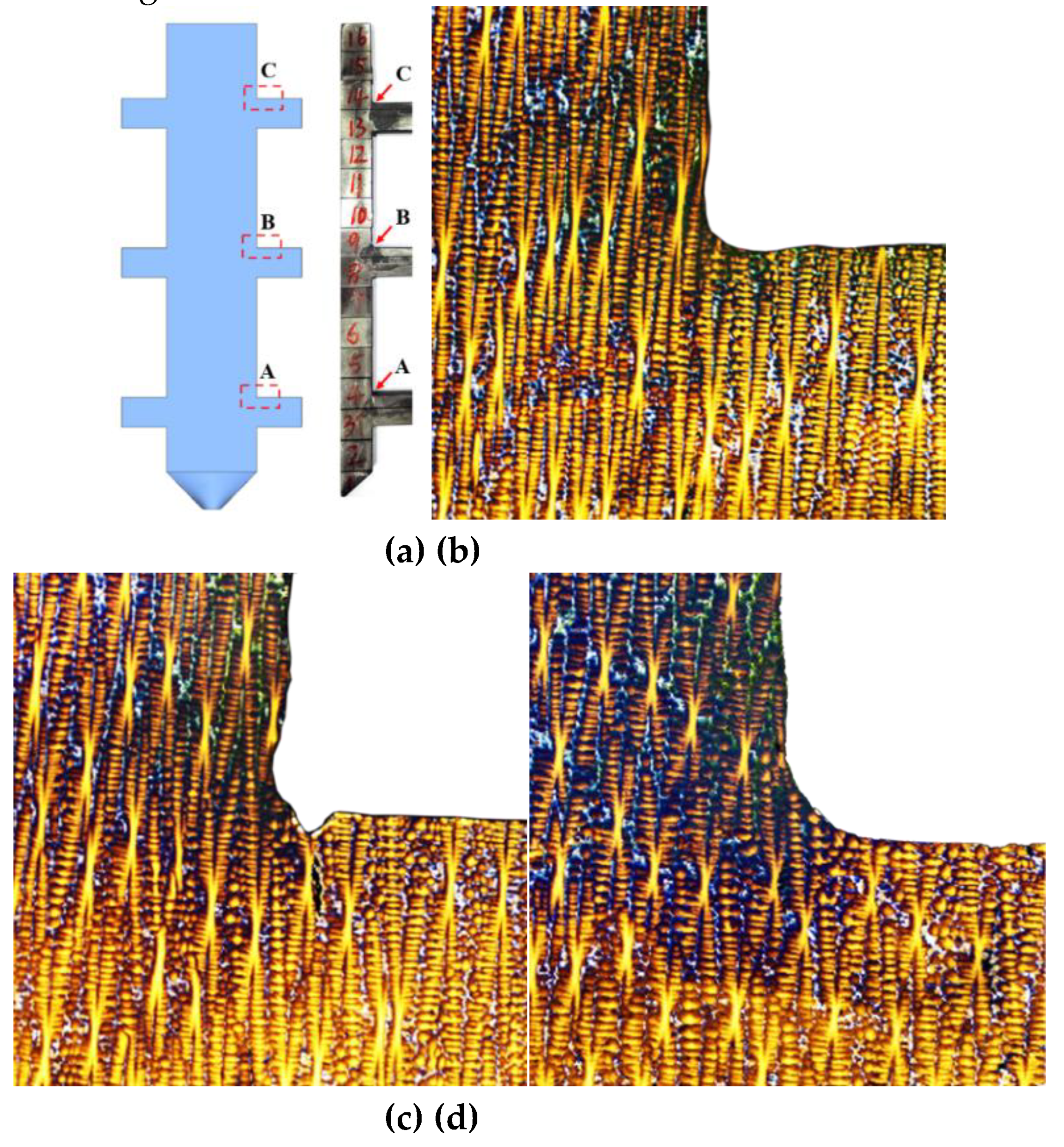 Preprints 168310 g010