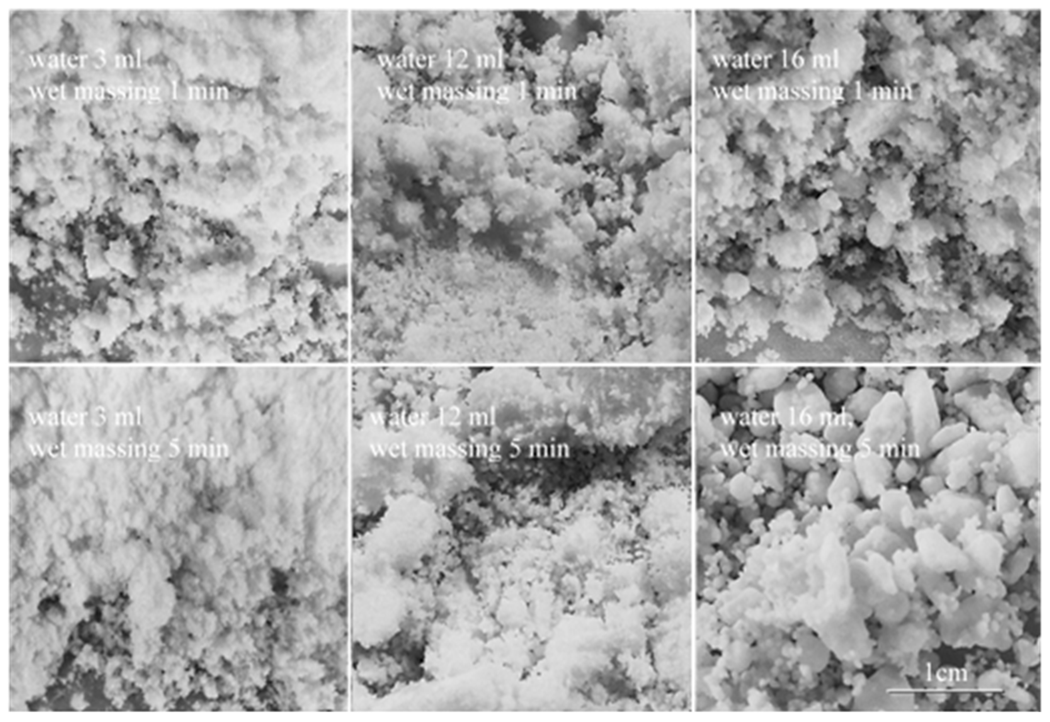 Preprints 195659 g003