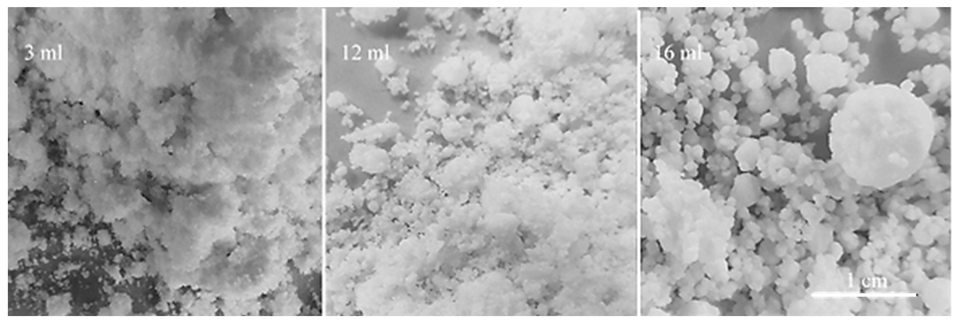 Preprints 195659 g007