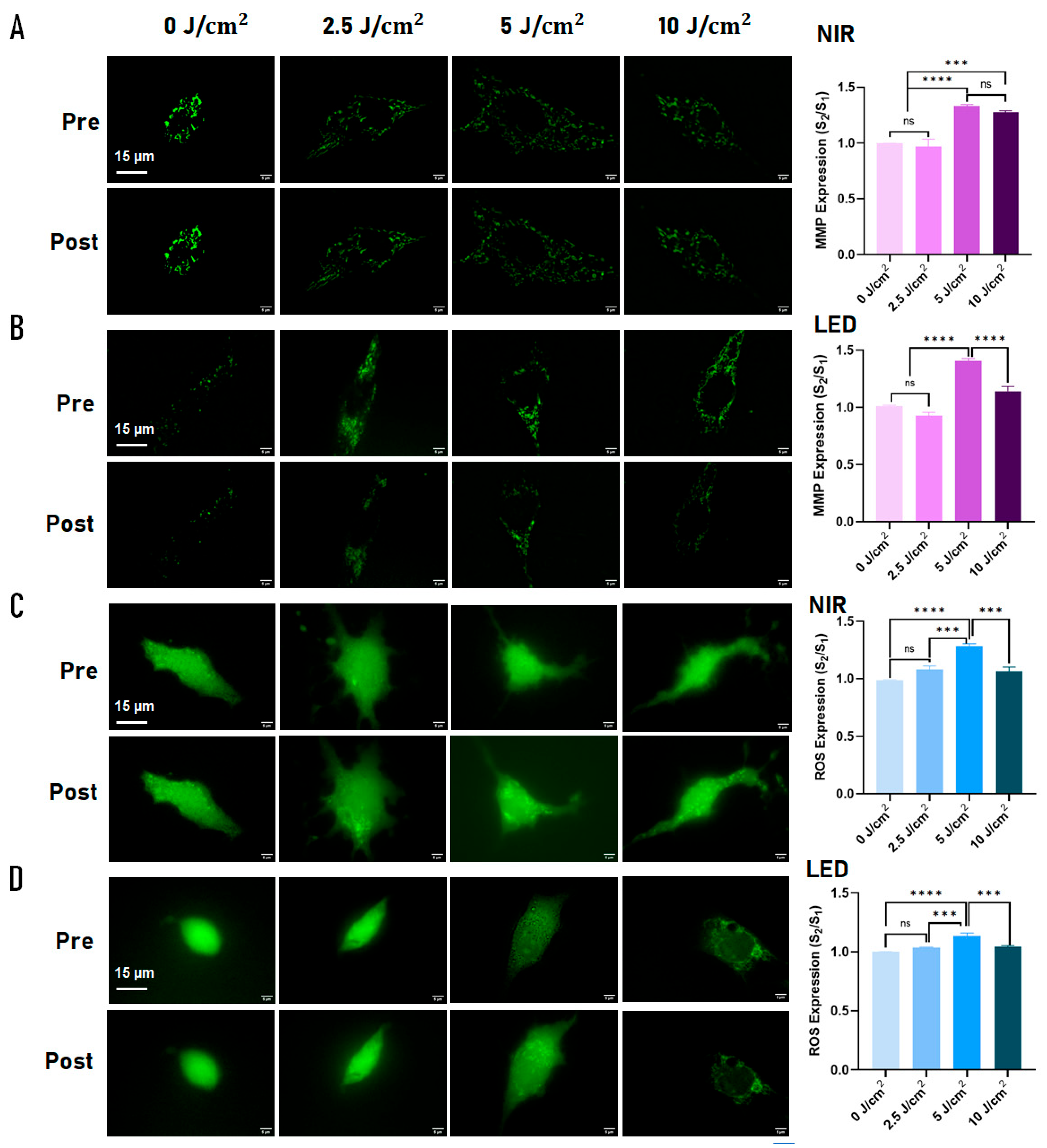 Preprints 197506 g001