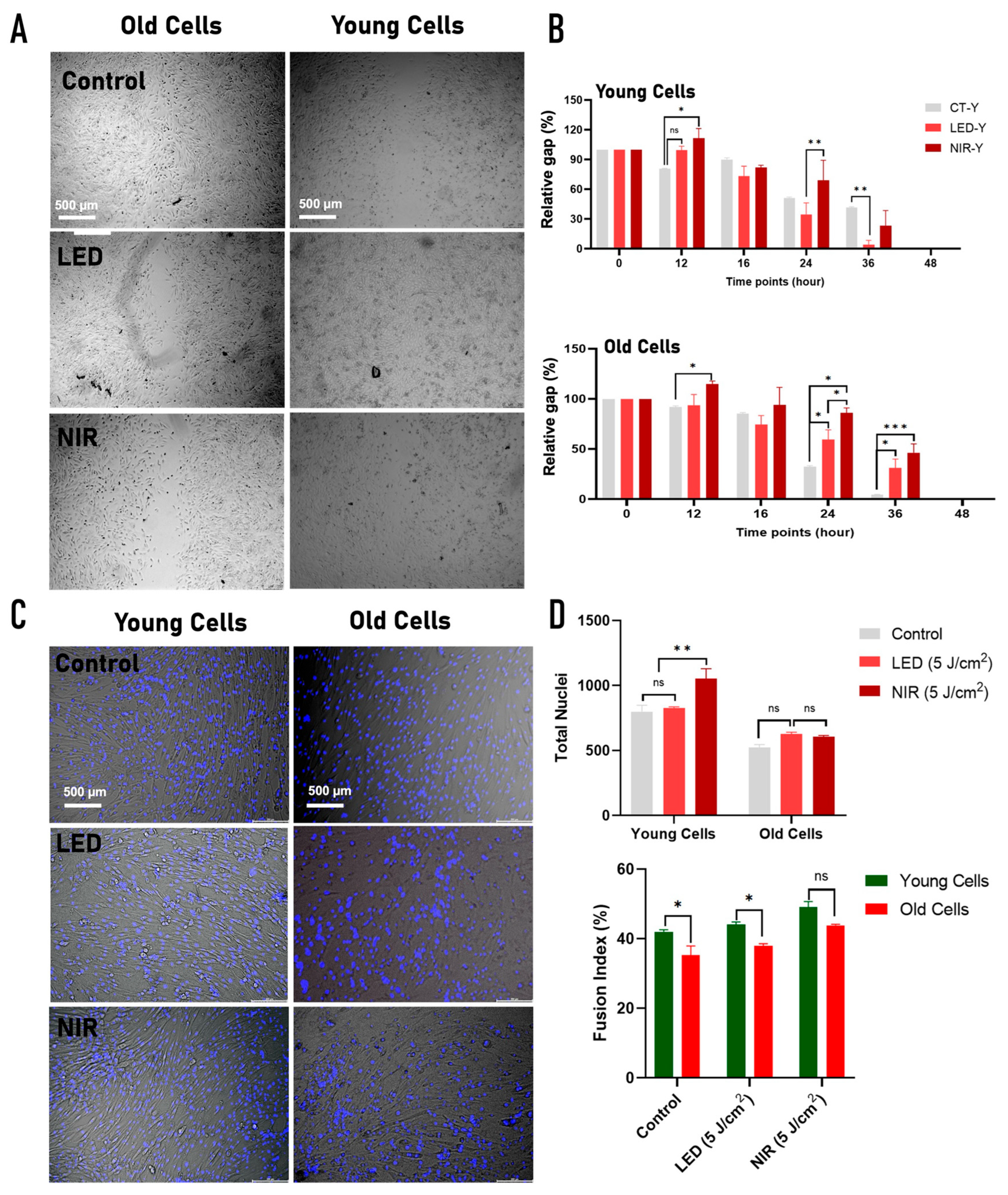Preprints 197506 g004