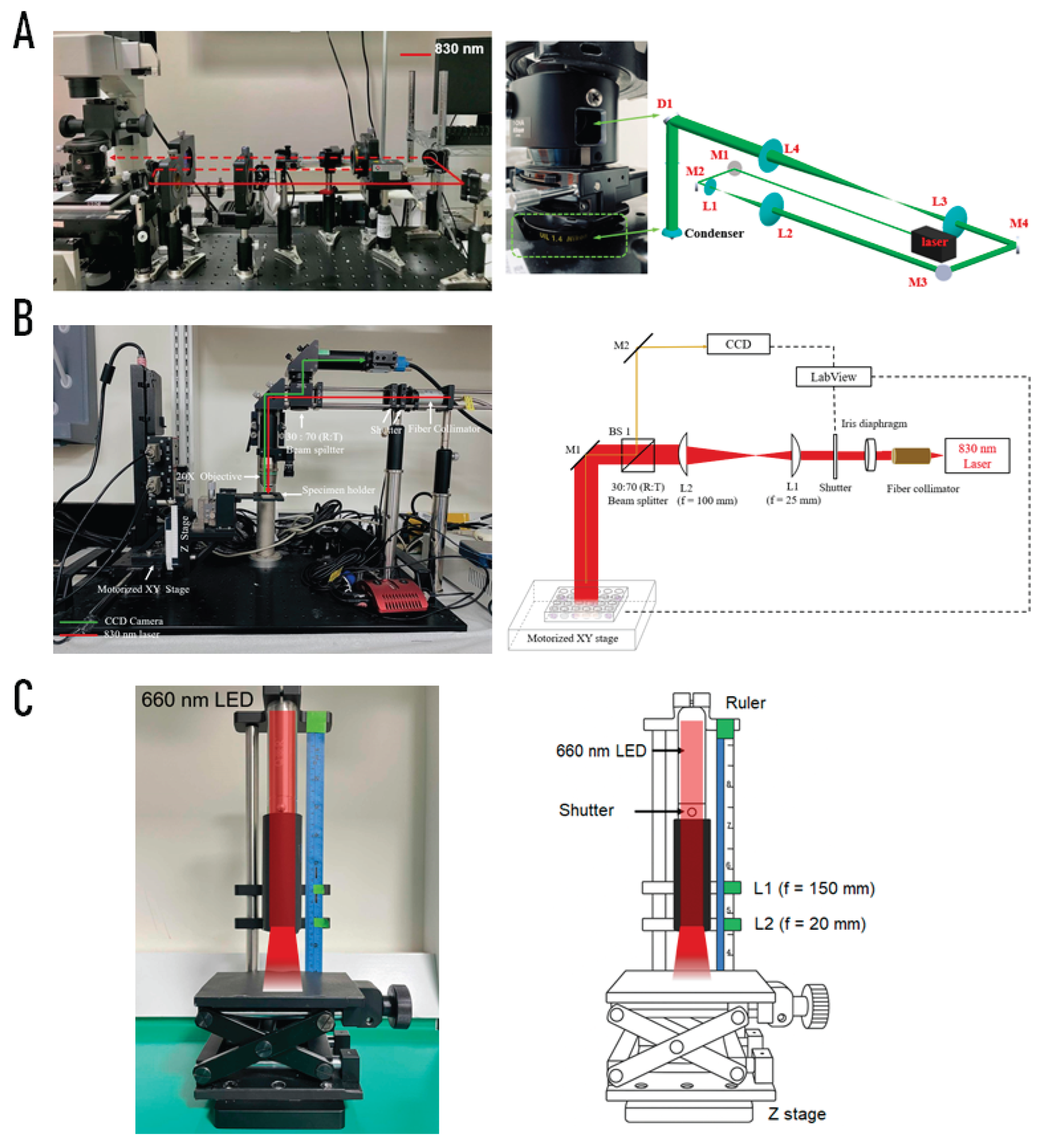 Preprints 197506 g006