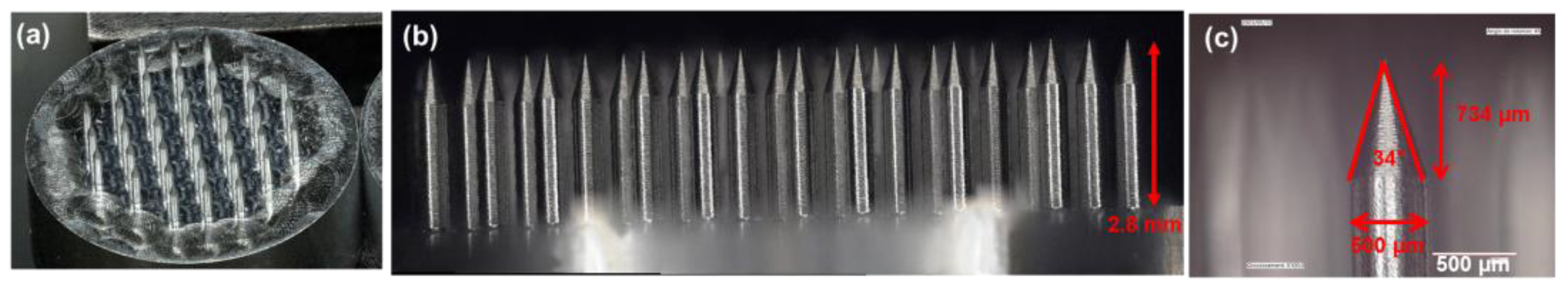 Preprints 169701 g001