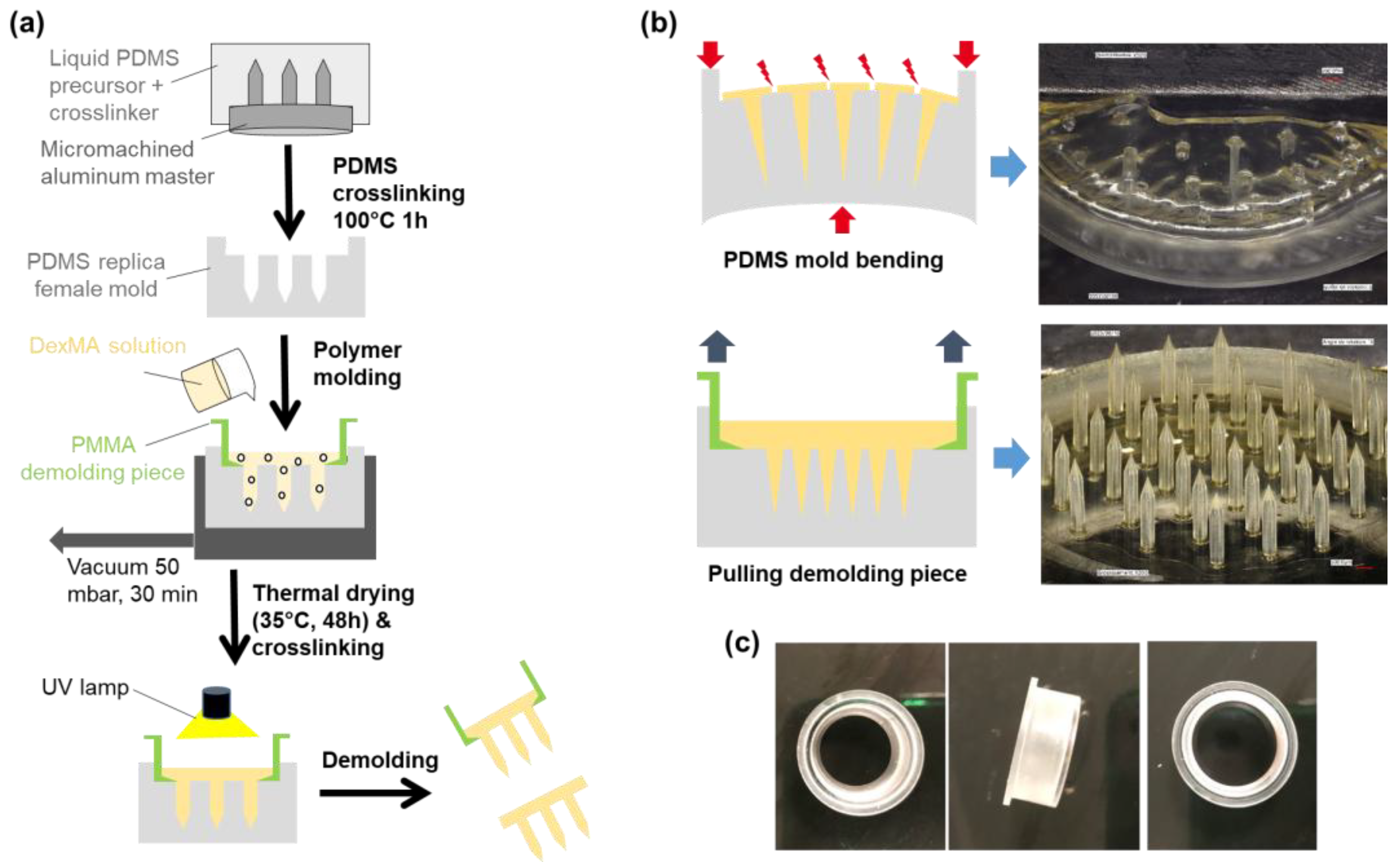 Preprints 169701 g002