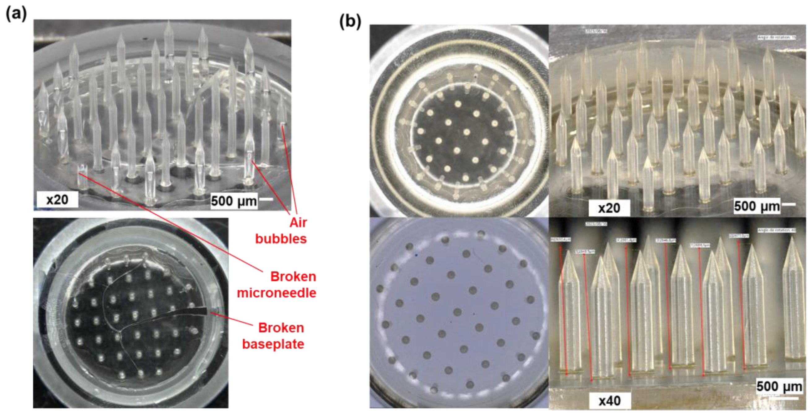 Preprints 169701 g003