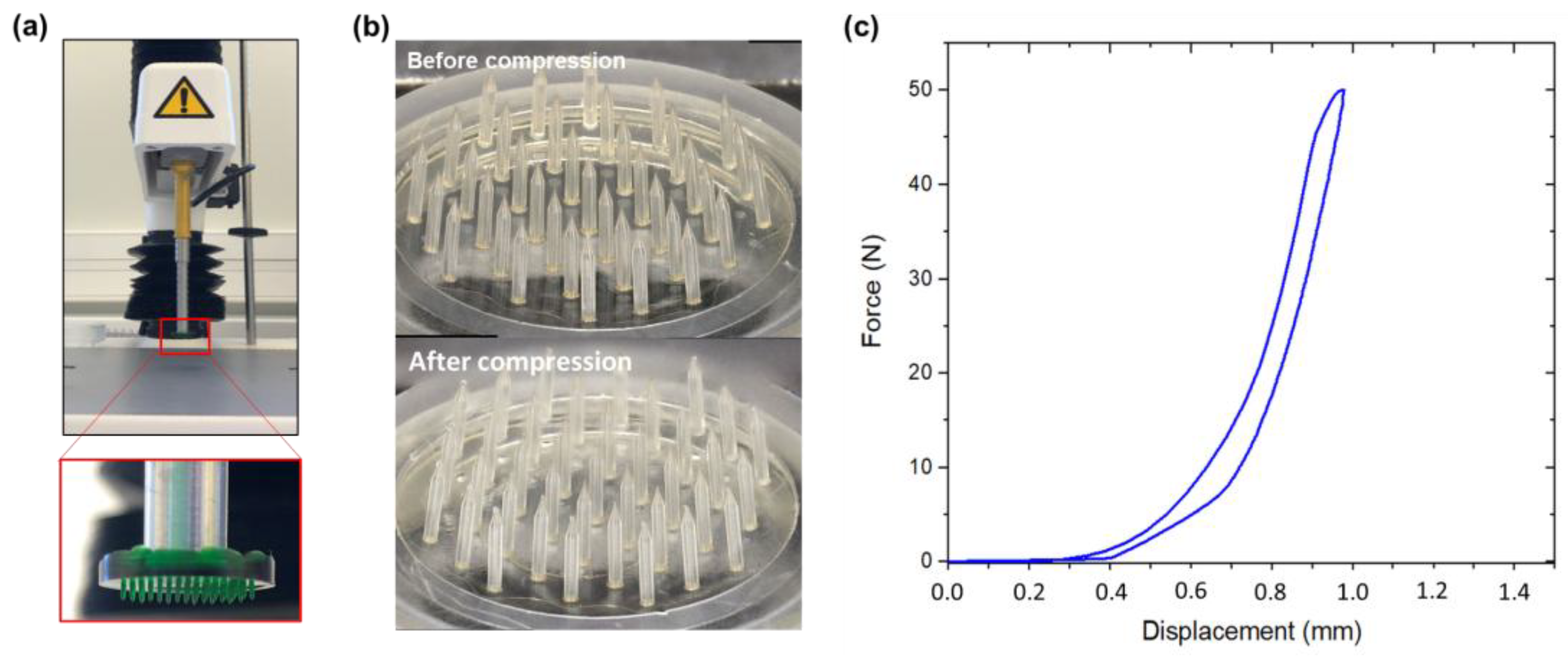 Preprints 169701 g004