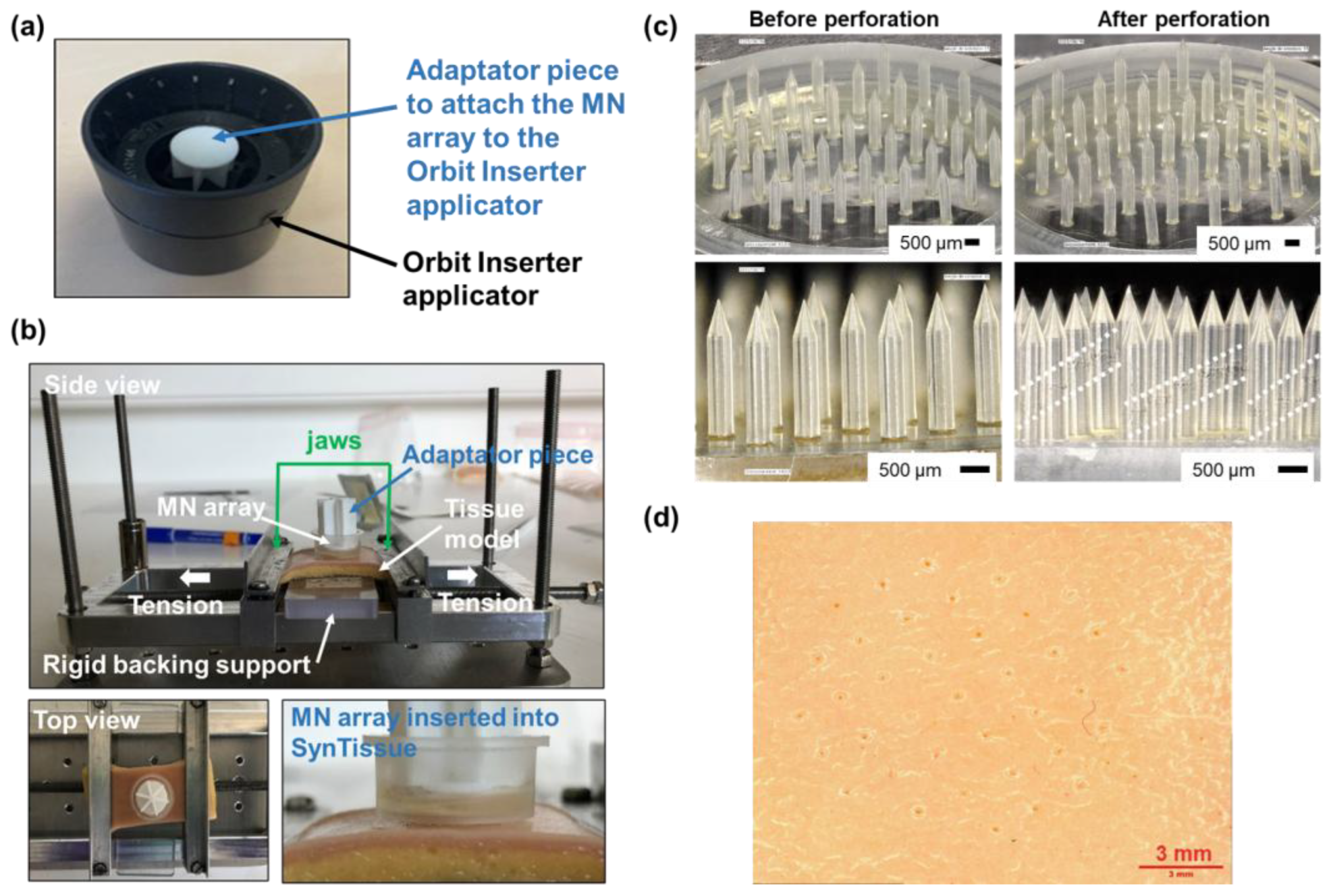 Preprints 169701 g005