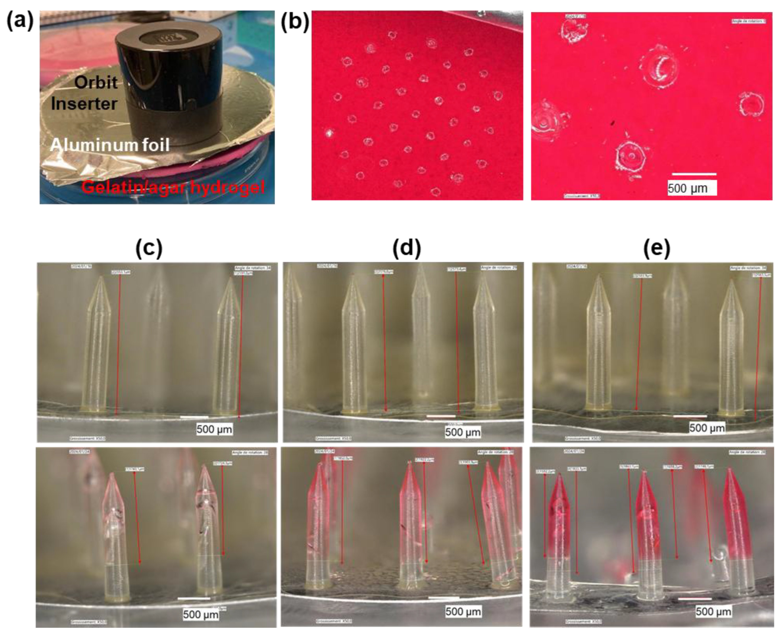 Preprints 169701 g006