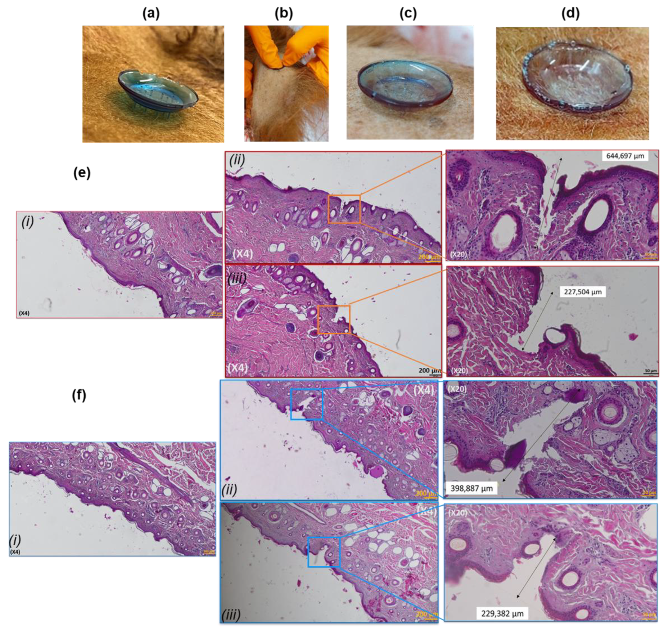 Preprints 169701 g008