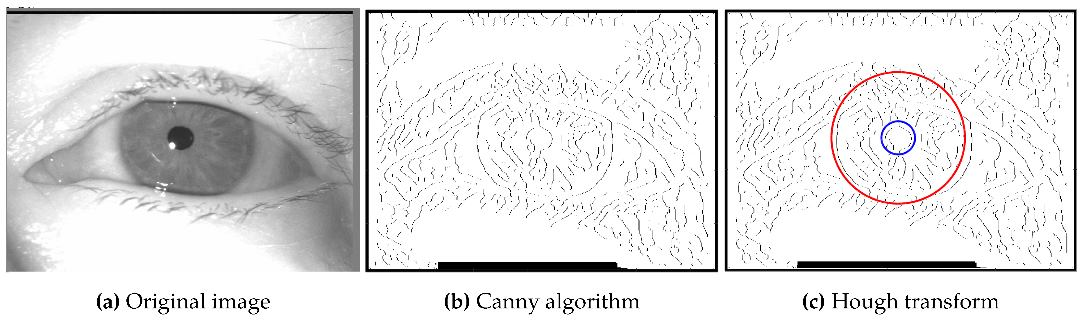 Preprints 109514 g003
