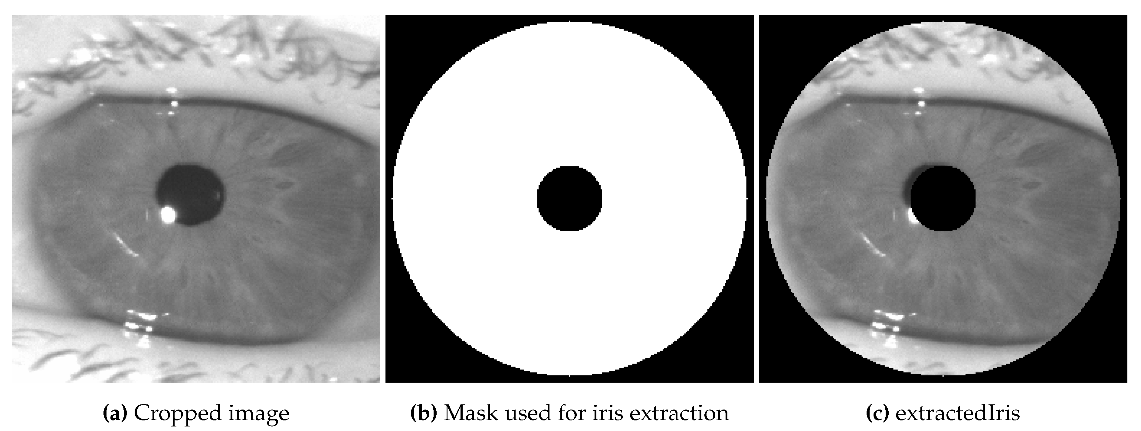 Preprints 109514 g004
