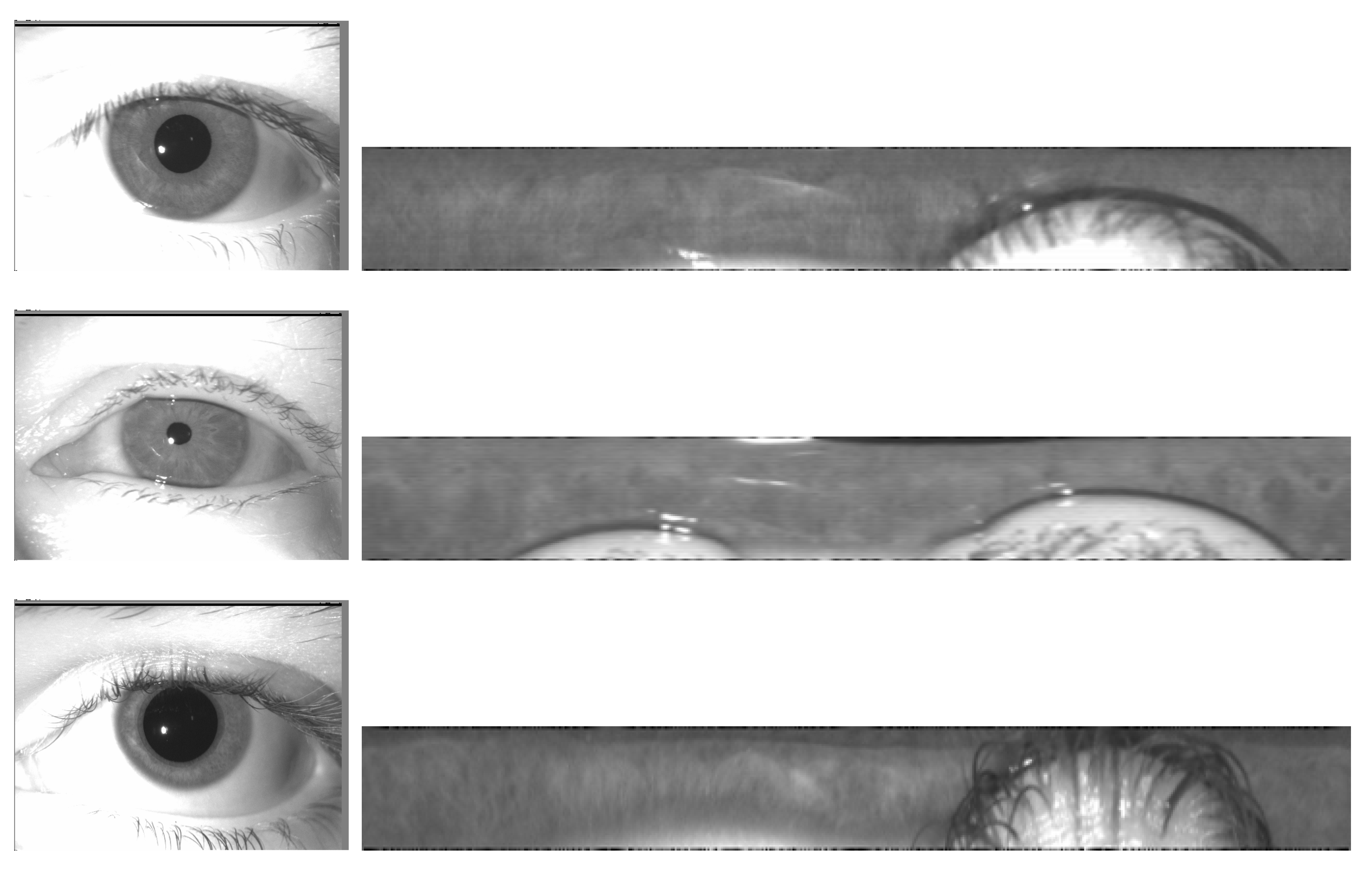 Preprints 109514 g006