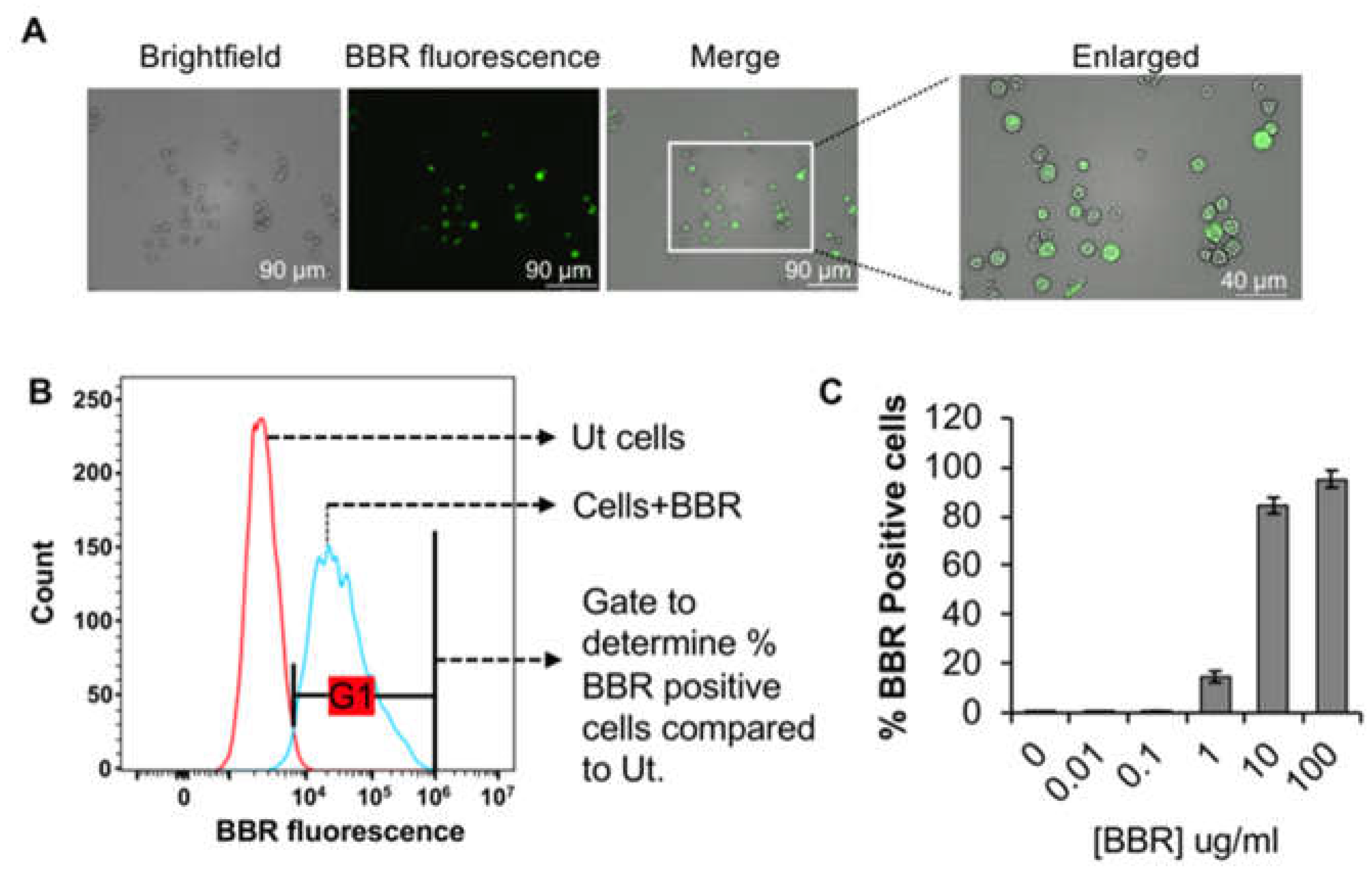 Preprints 68643 g002