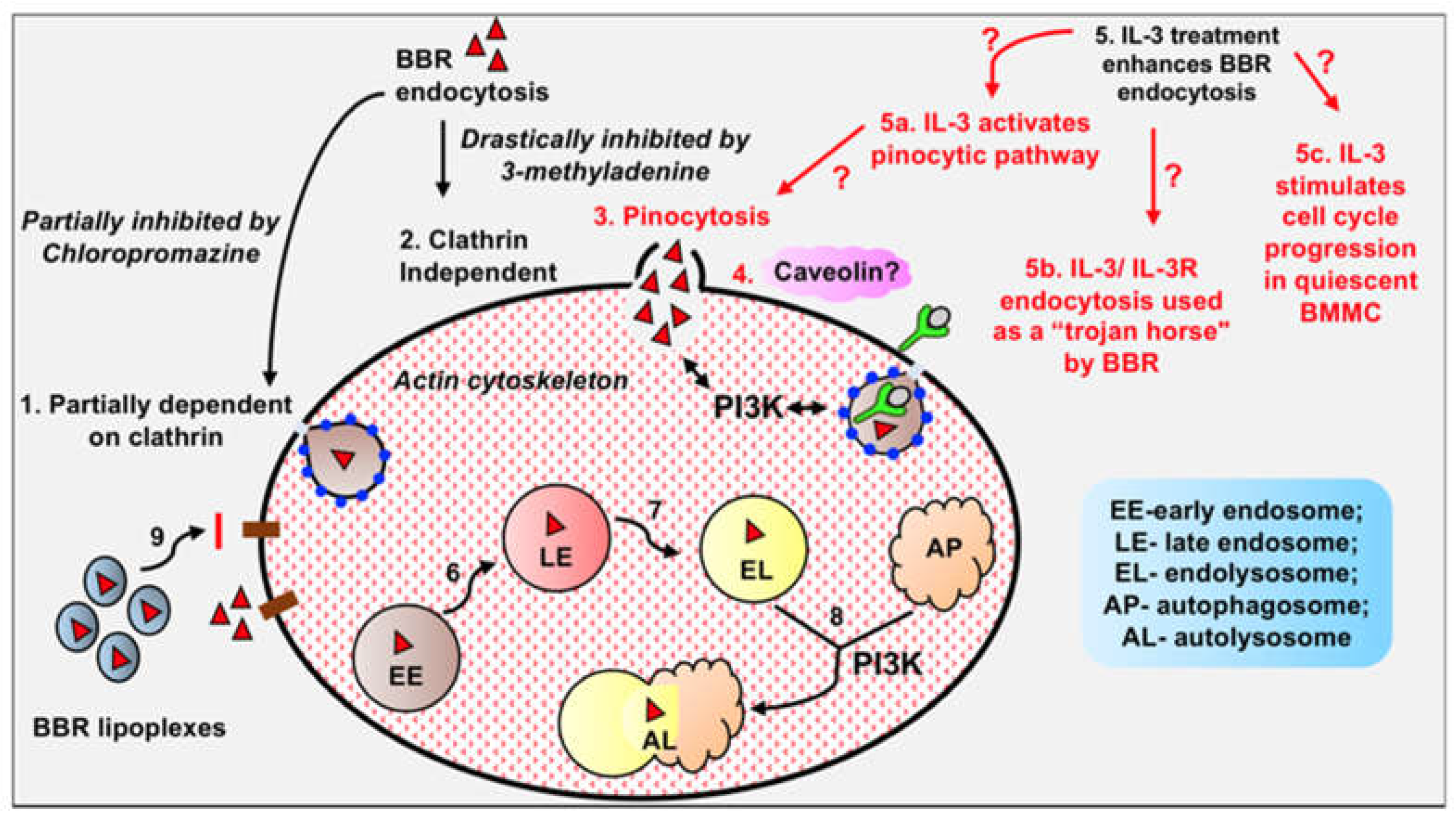 Preprints 68643 g003