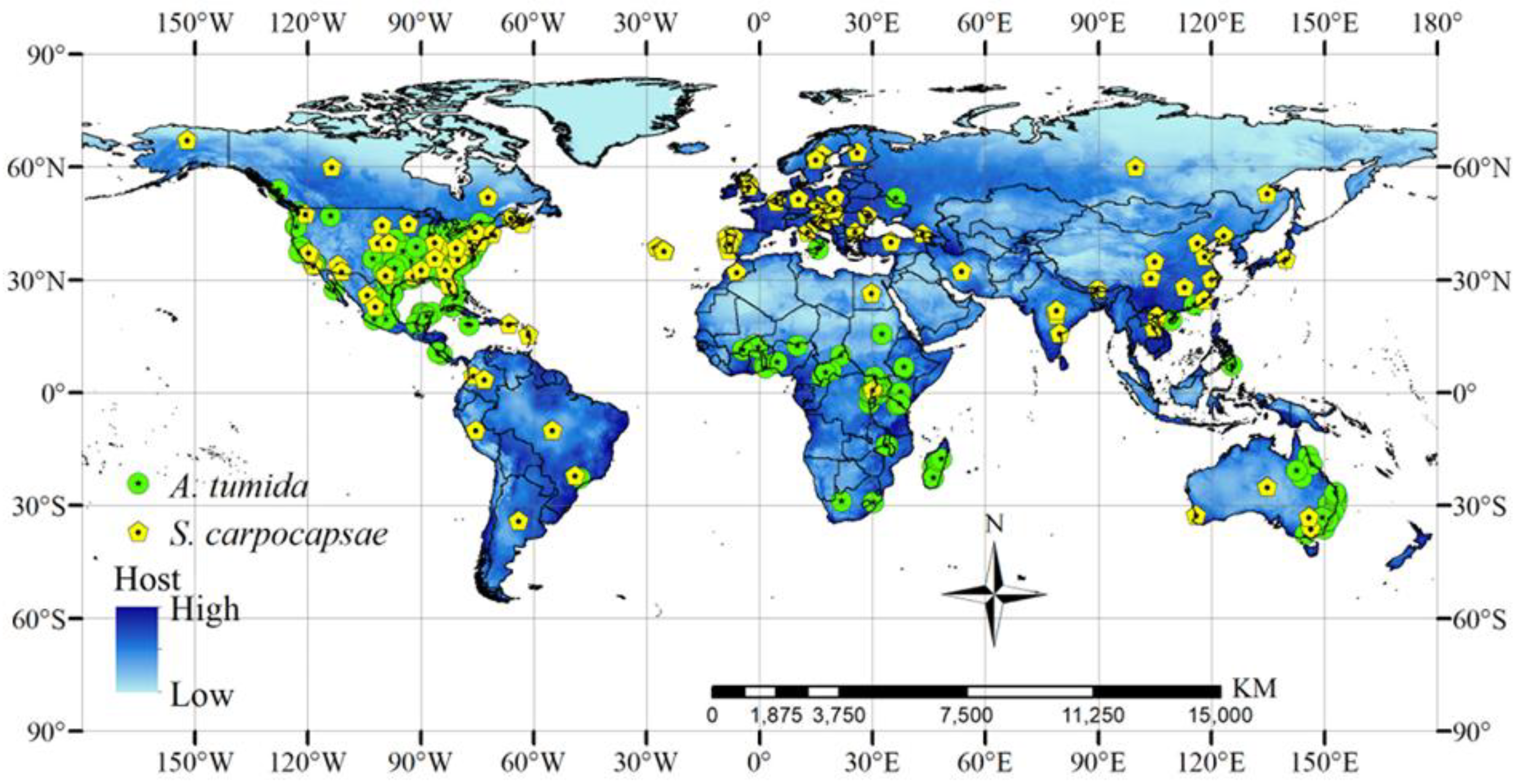Preprints 206956 g001
