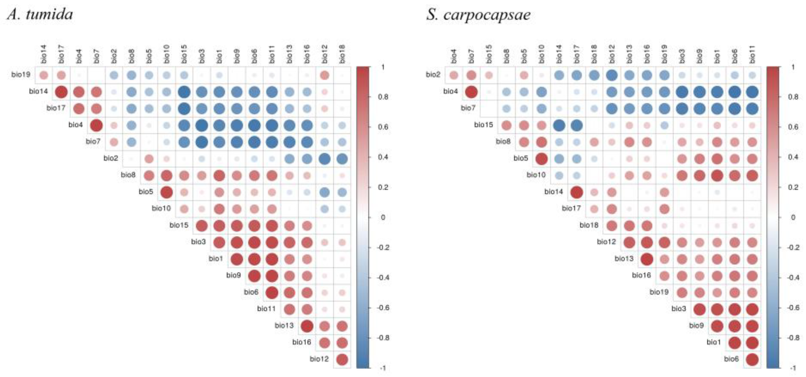 Preprints 206956 g0a1