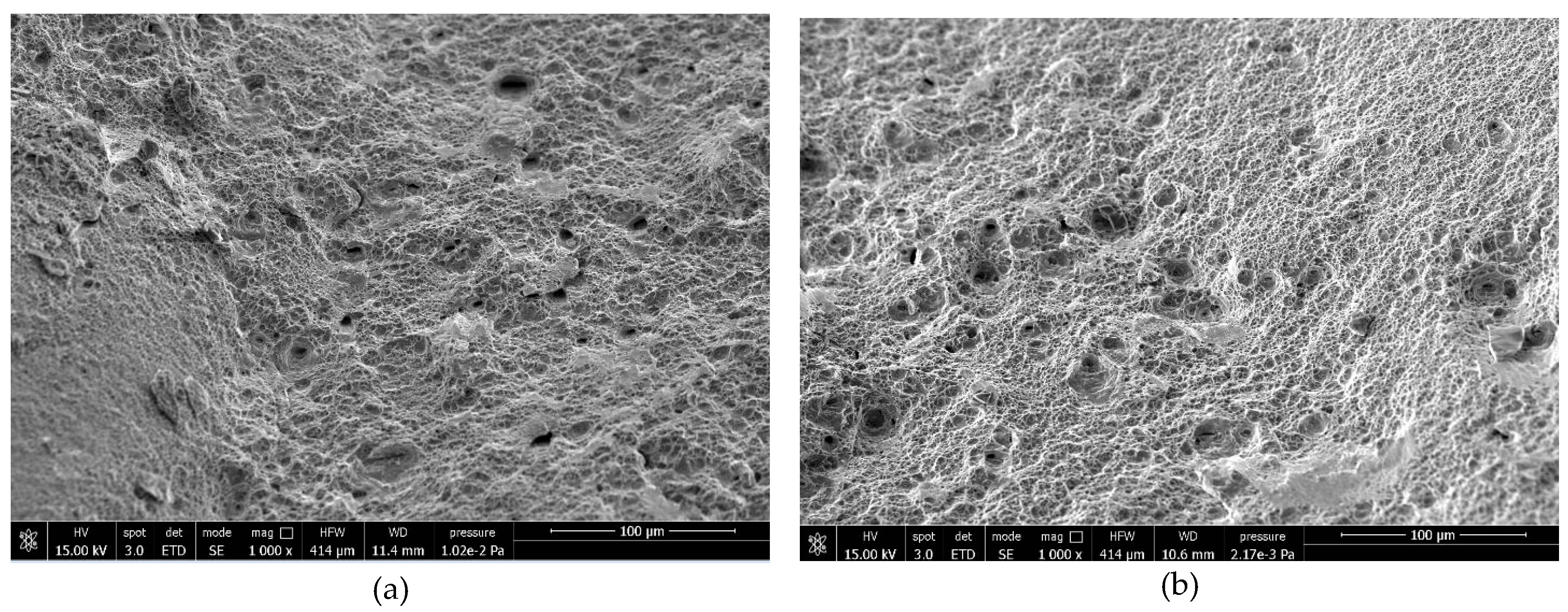 Preprints 188897 g006