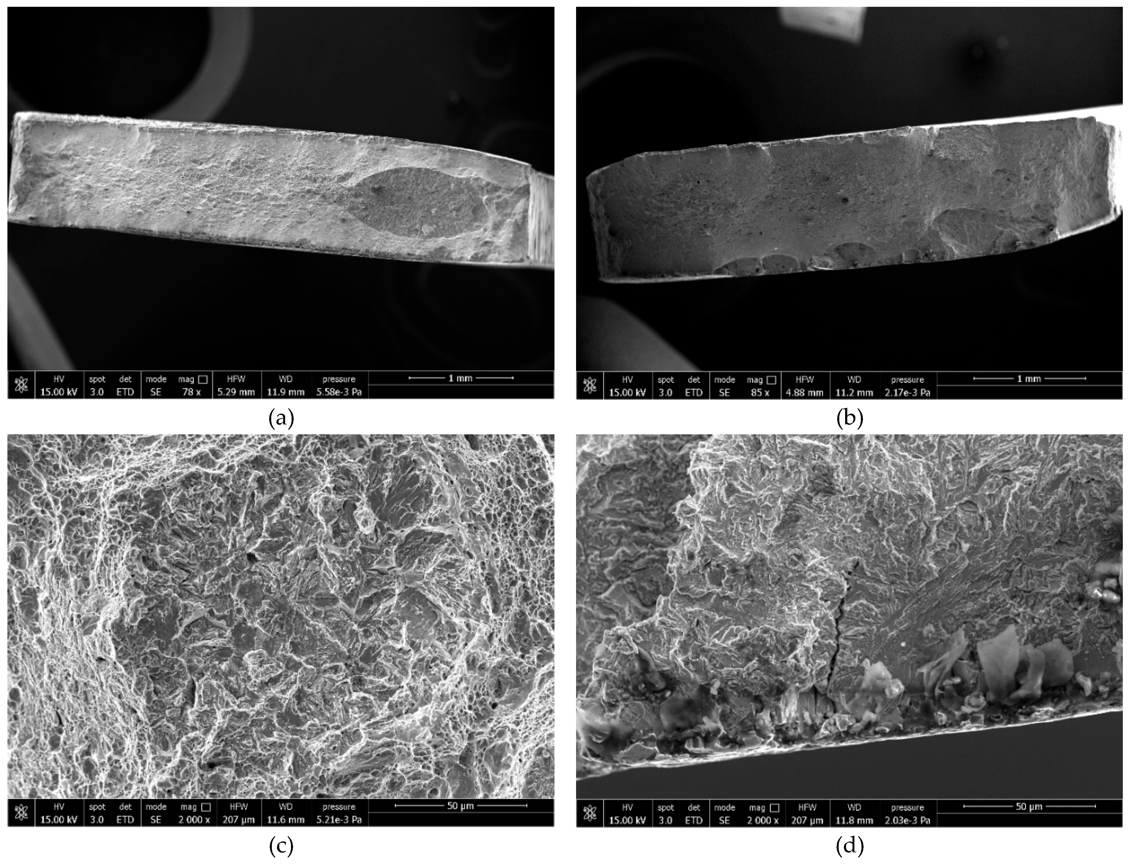 Preprints 188897 g008