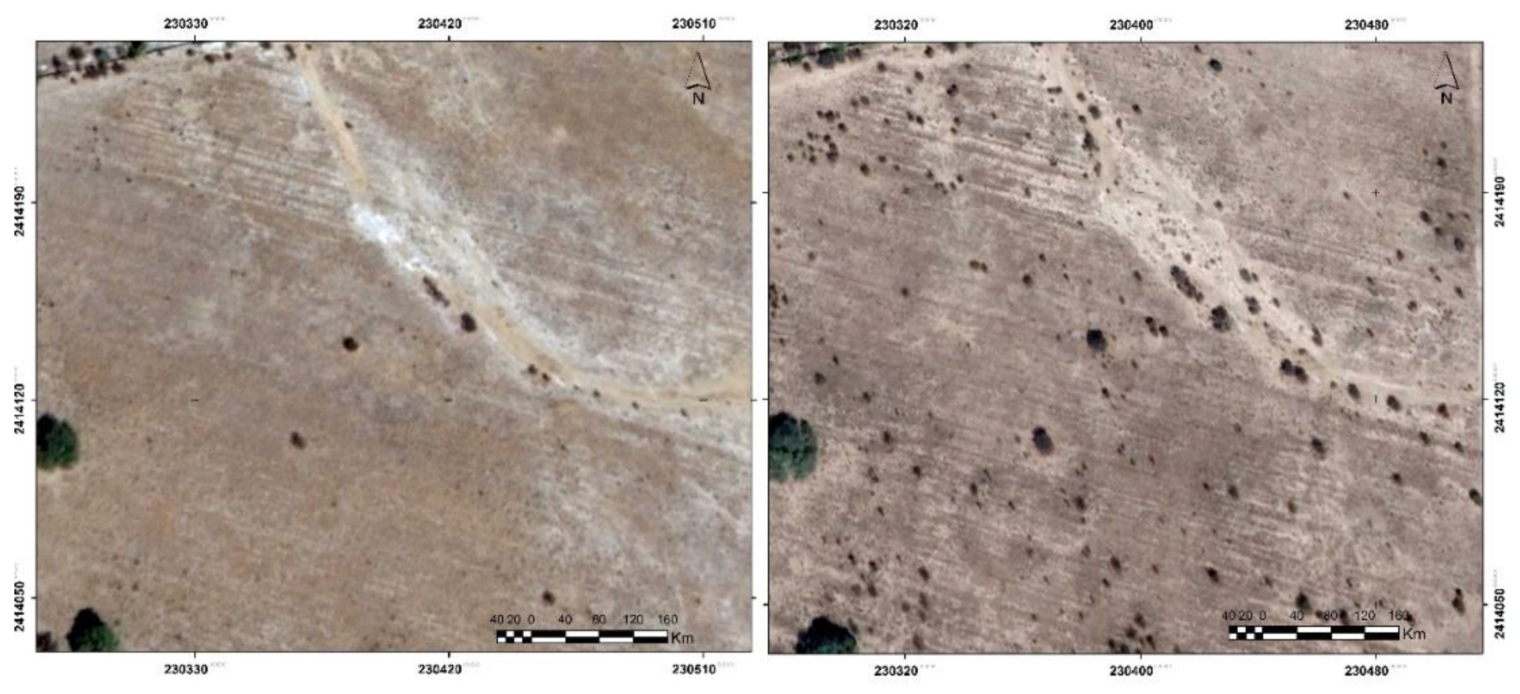 Preprints 141775 g001