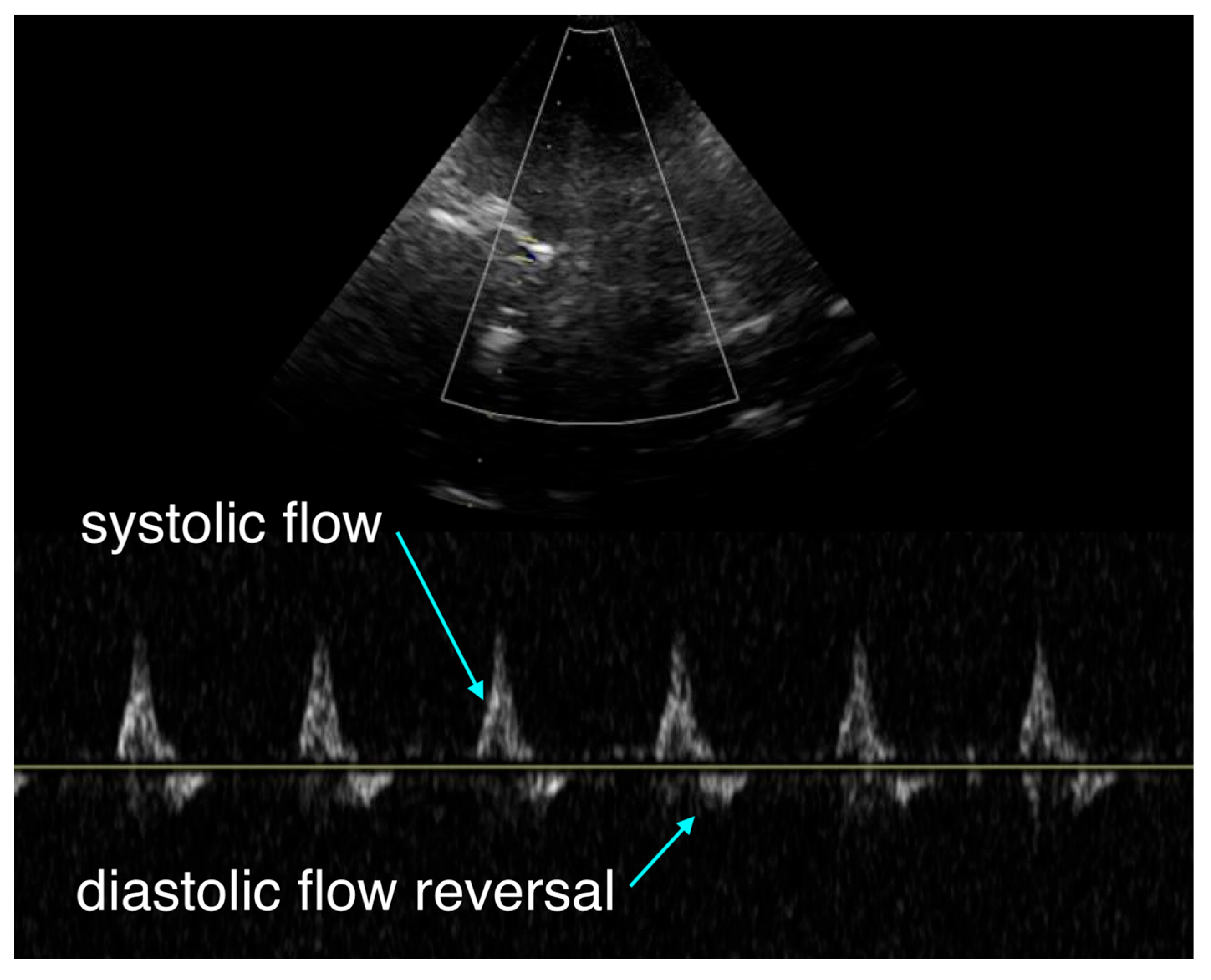 Preprints 189737 g001
