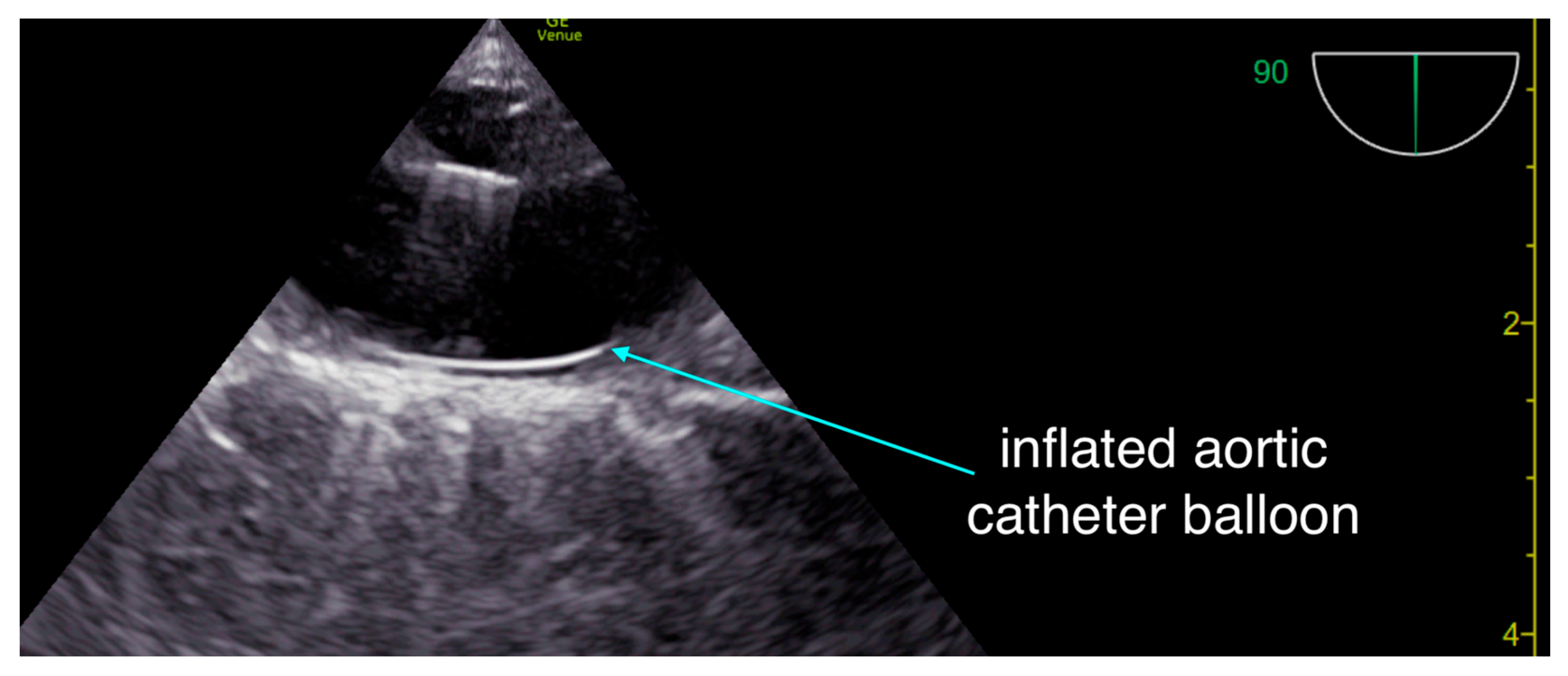 Preprints 189737 g002