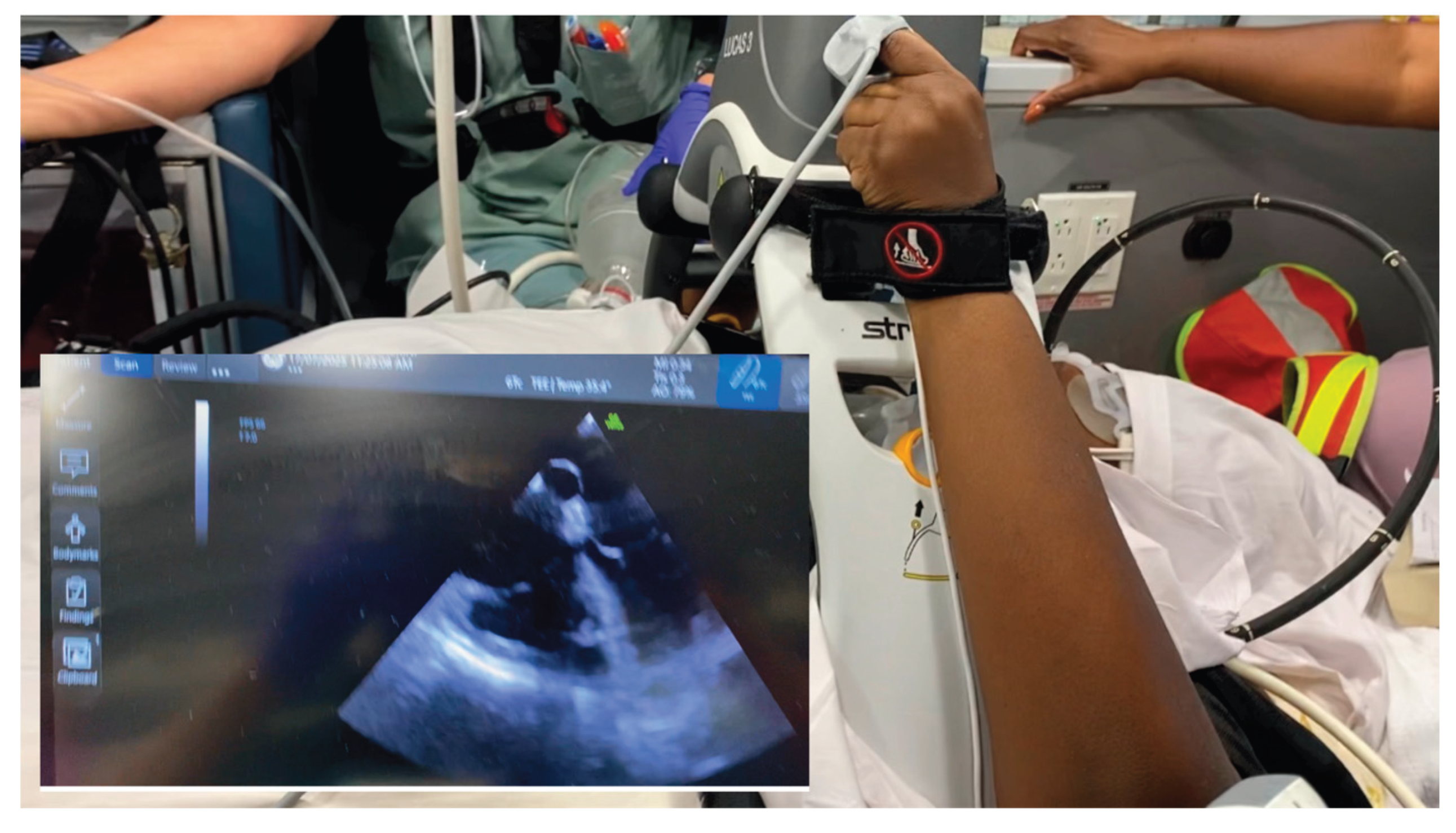 Preprints 189737 g003