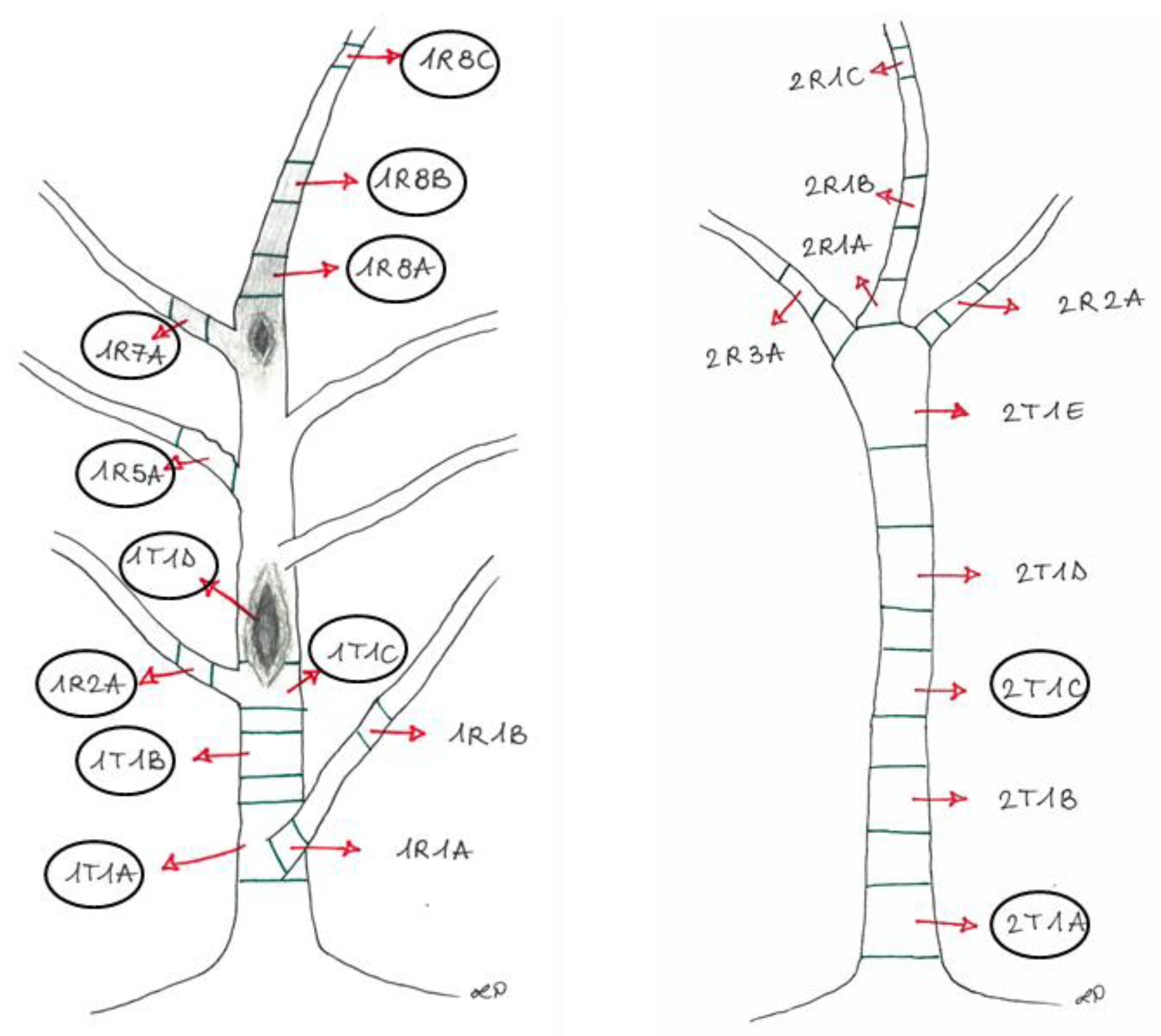 Preprints 149597 g002