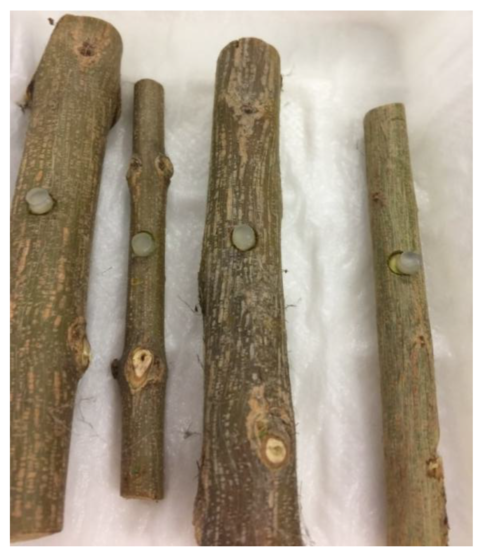 Preprints 149597 g003