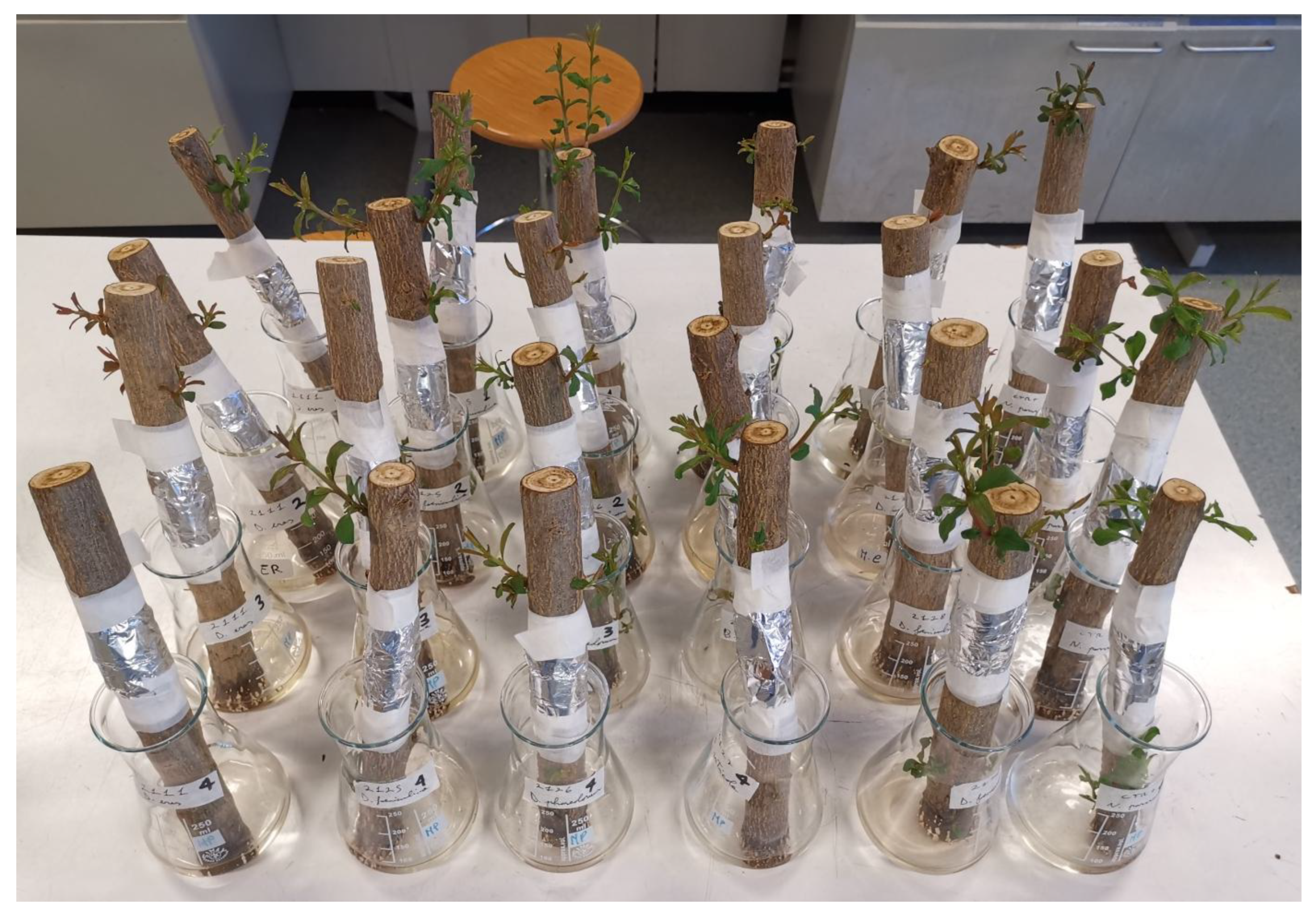 Preprints 149597 g004