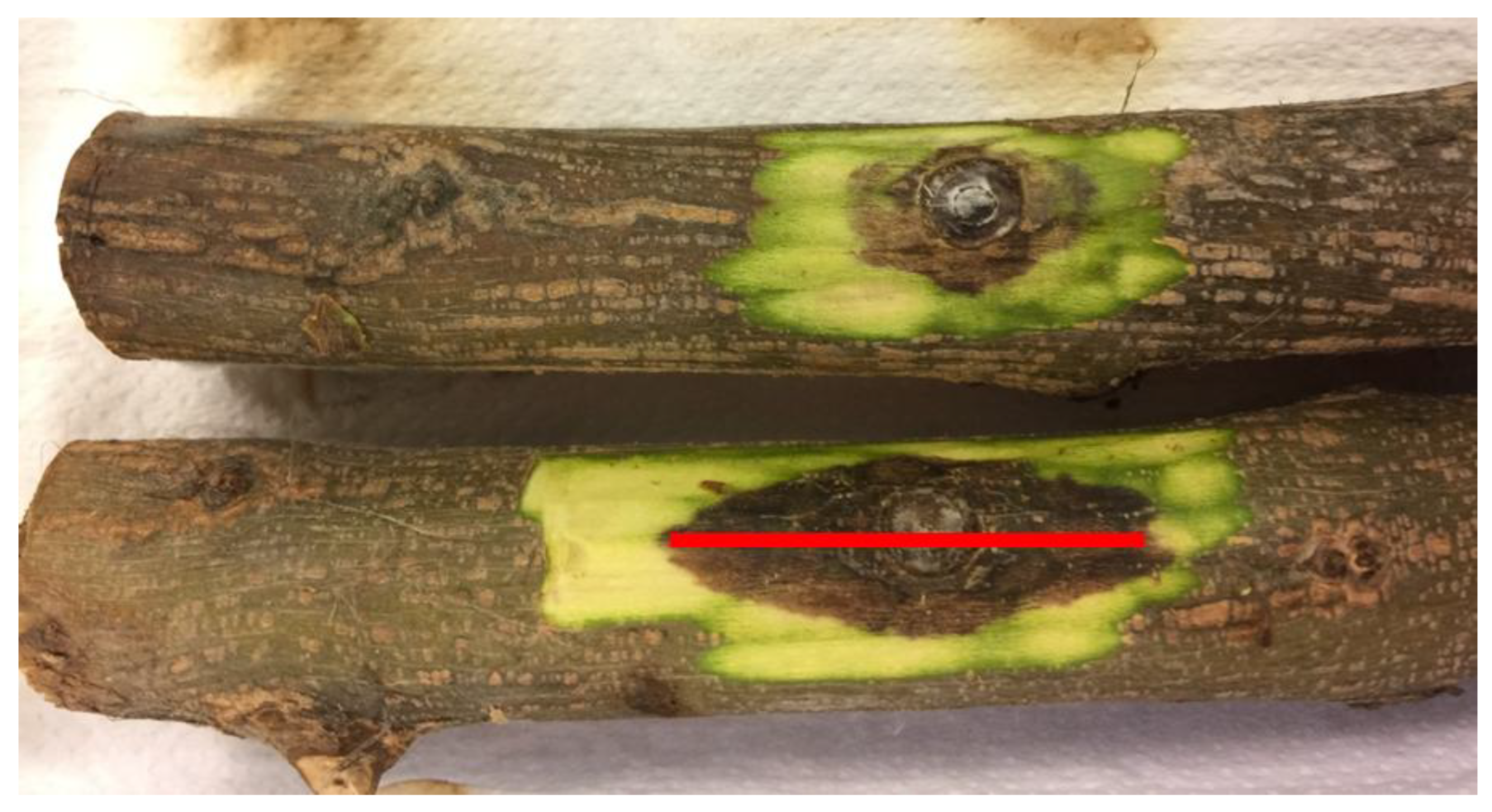Preprints 149597 g005